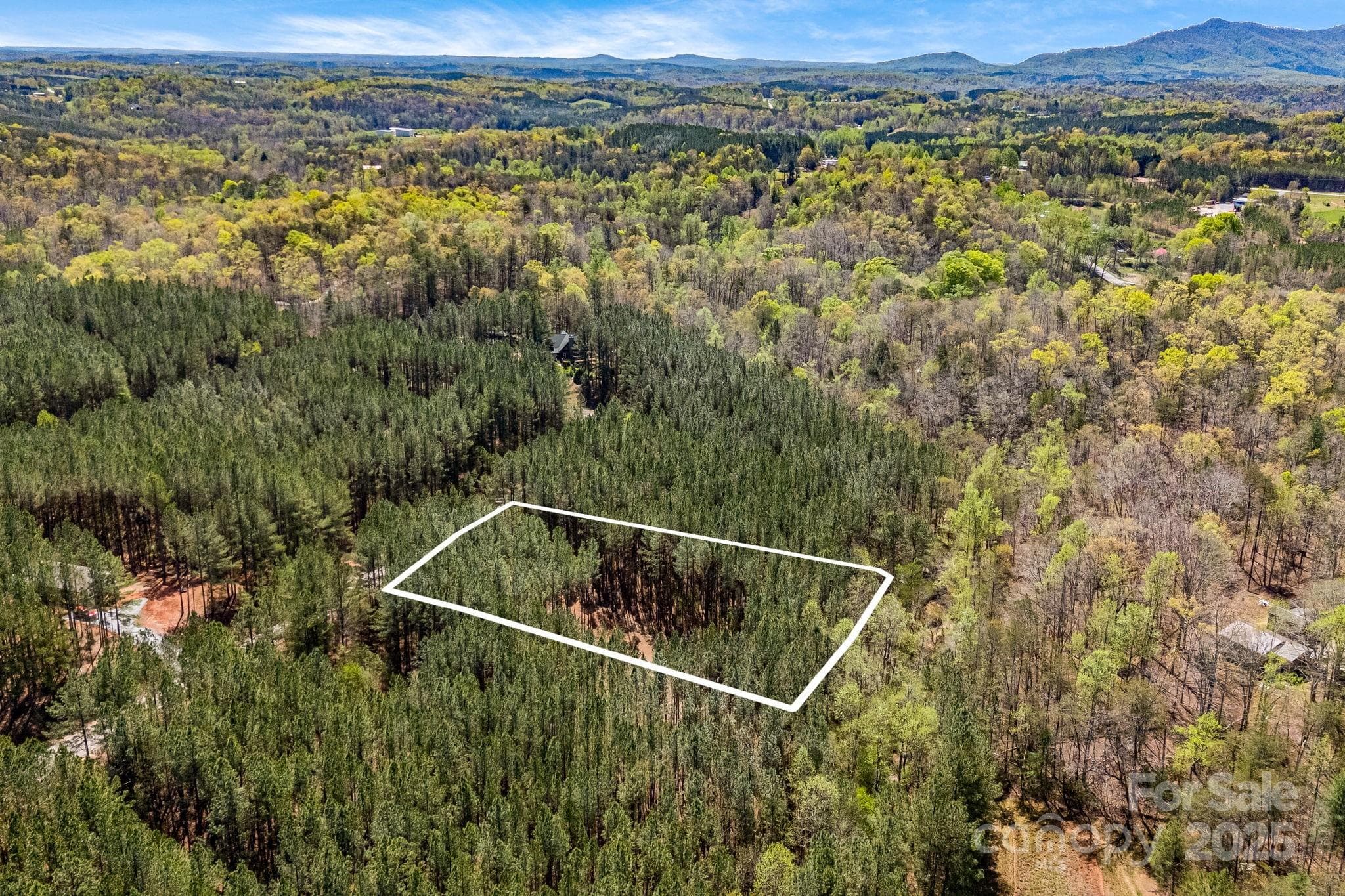 Aerial view- lot lines are approximate. - Mill Spring