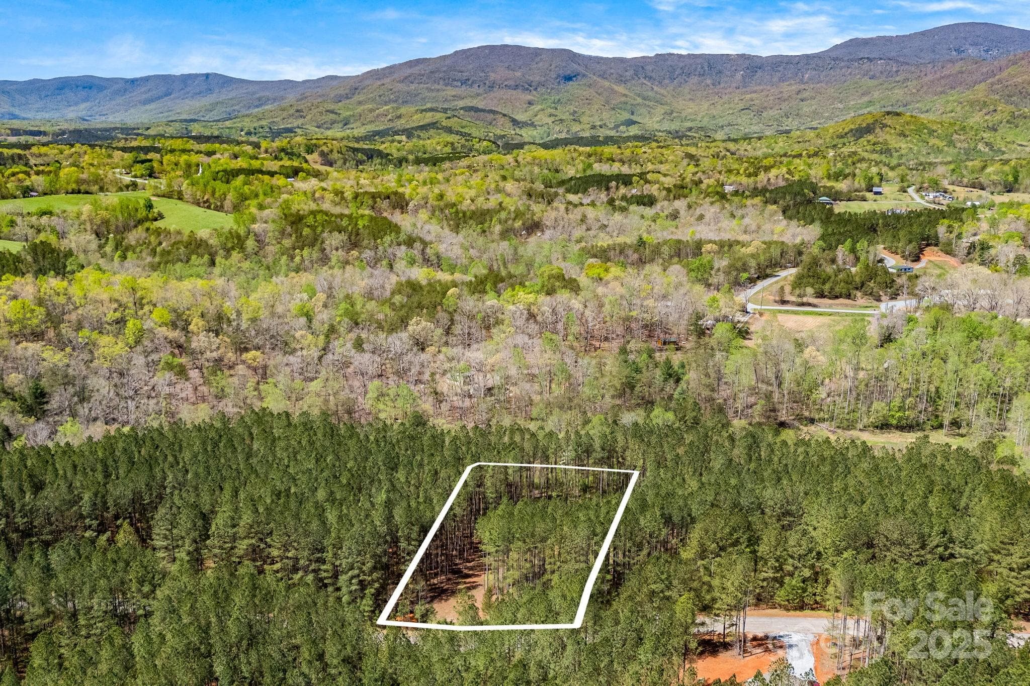 Aerial view- lot lines are approximate. - Mill Spring