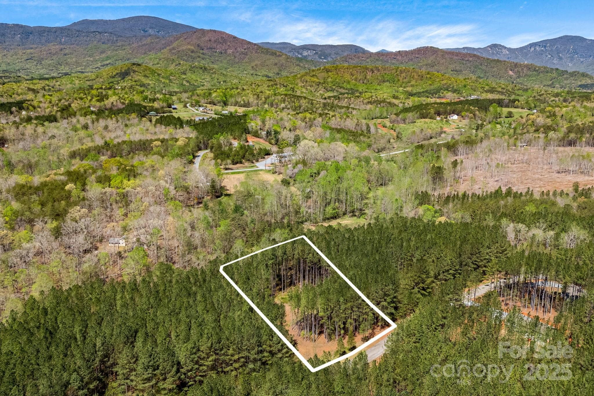 Aerial view- lot lines are approximate. - Mill Spring
