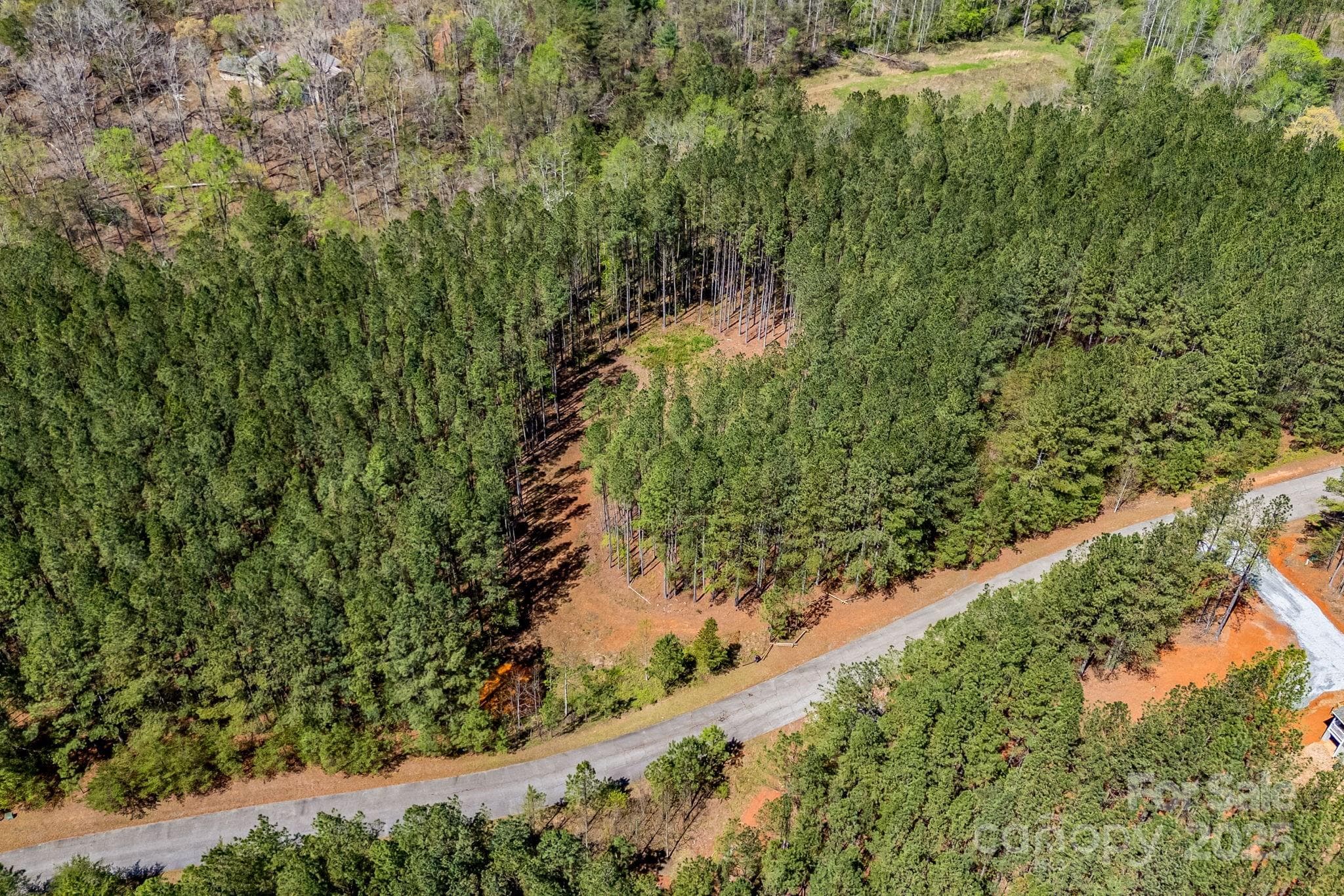 Aerial view. - Mill Spring
