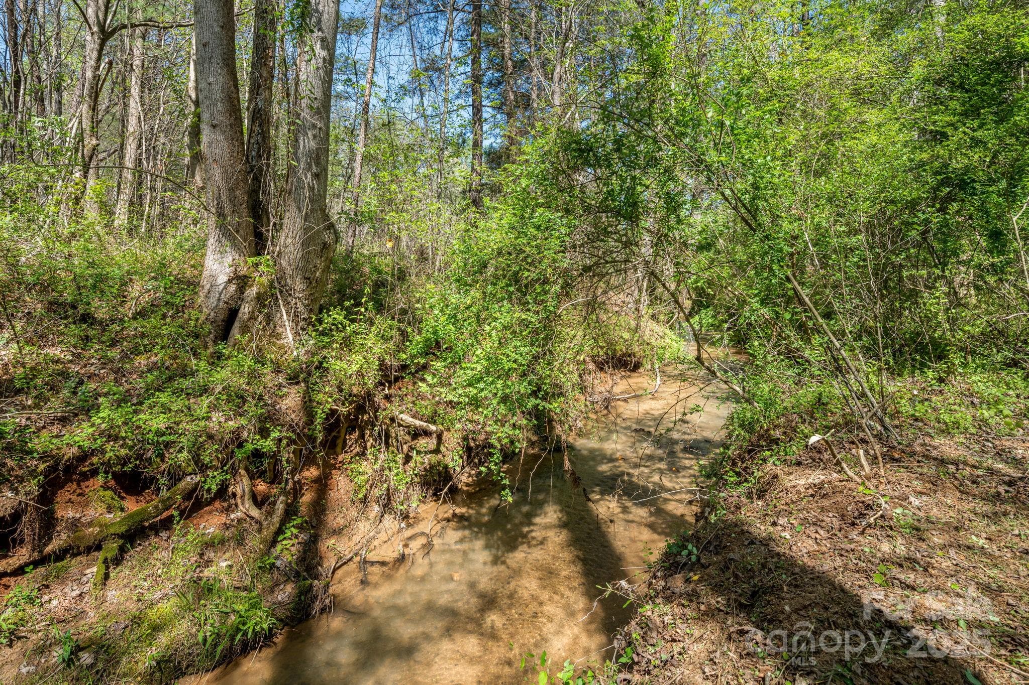 Creek bank at back of lot. - Mill Spring