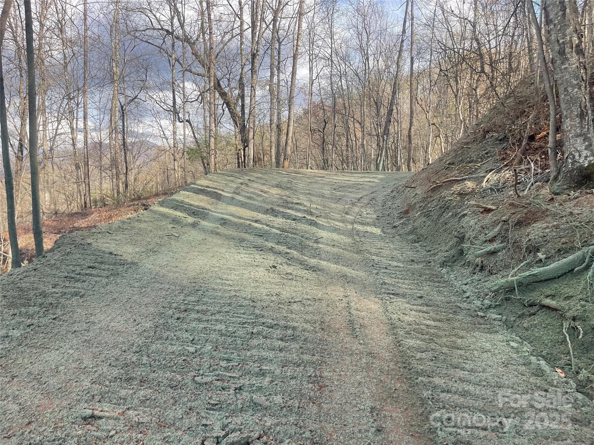 Acreage at Sylva, photo 19 of 28