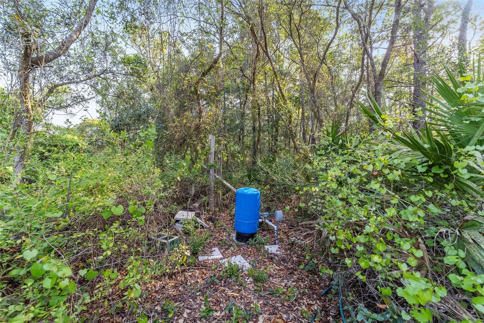 Land at 475 FISHER RD, OCKLAWAHA, photo 6 of 26