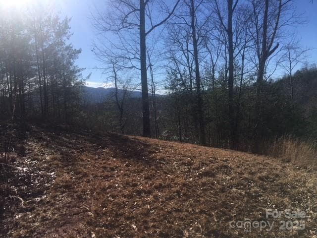 Lot at Mill Spring, photo 2 of 7