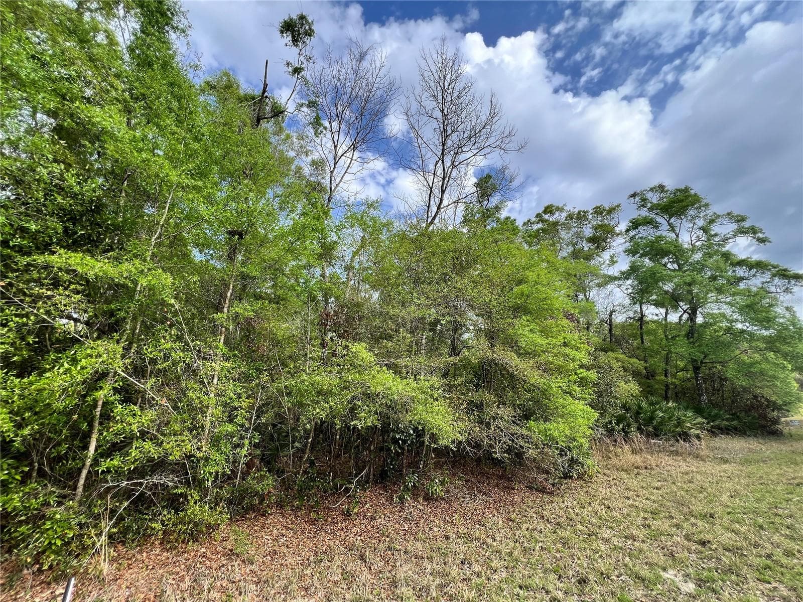 Land at NW 74TH CT #111, CHIEFLAND, photo 14 of 14