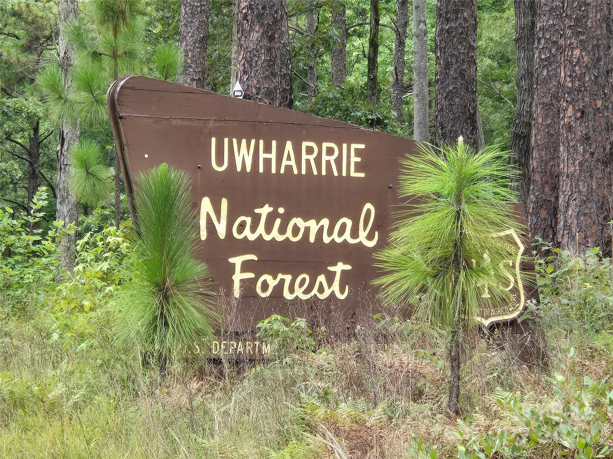 The Uwharrie National Forest nearby is a great destination for camping, hiking, horseback riding, and ATV/OHV trails. - 133 Badin View Drive, Badin Lake