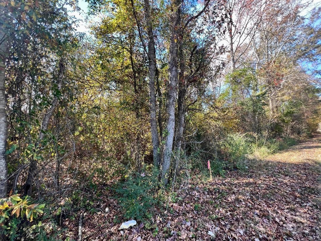 Acreage at Lancaster, photo 15 of 26