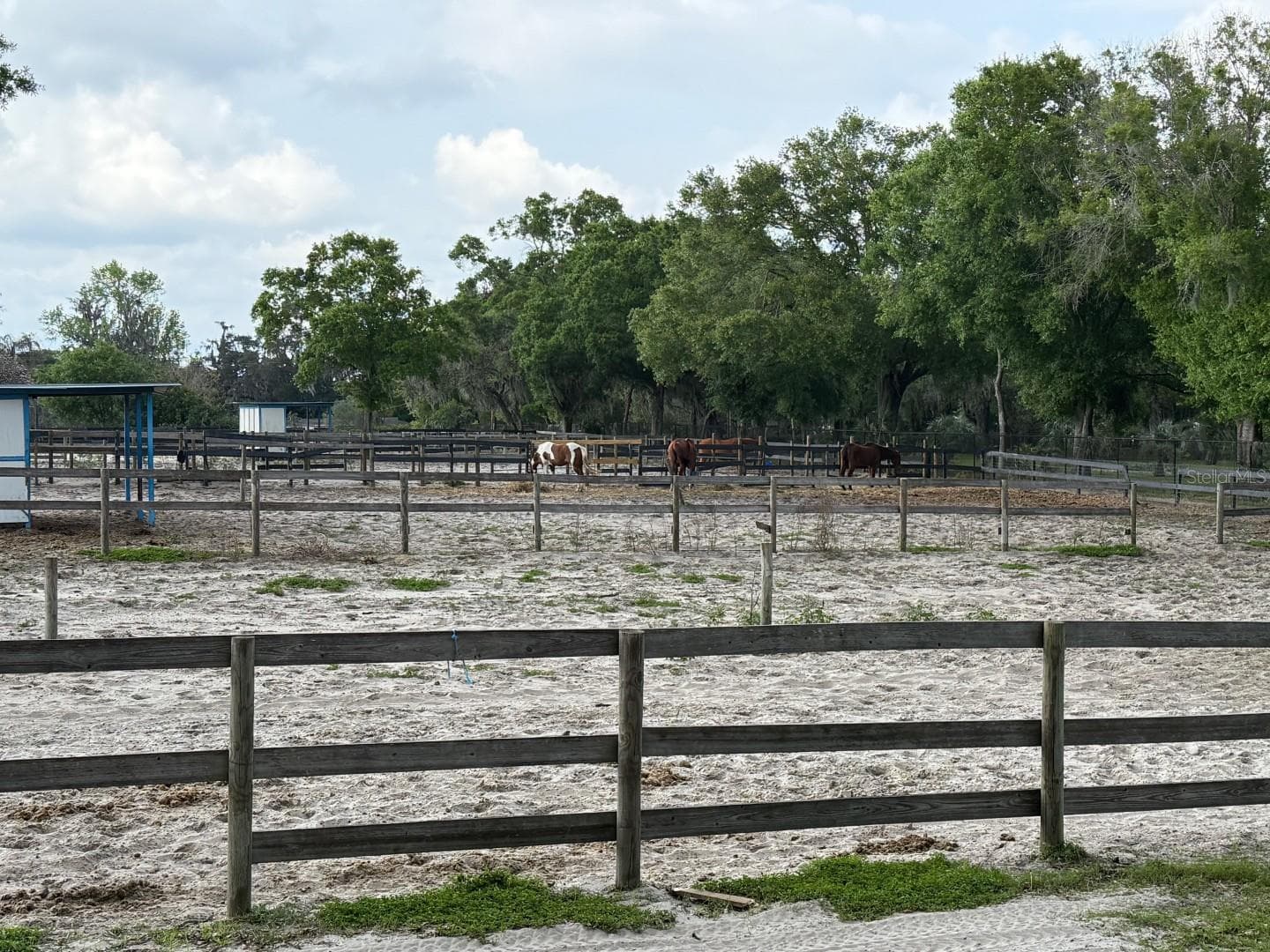 Land at 16315 MCGLAMERY RD, ODESSA, photo 3 of 45