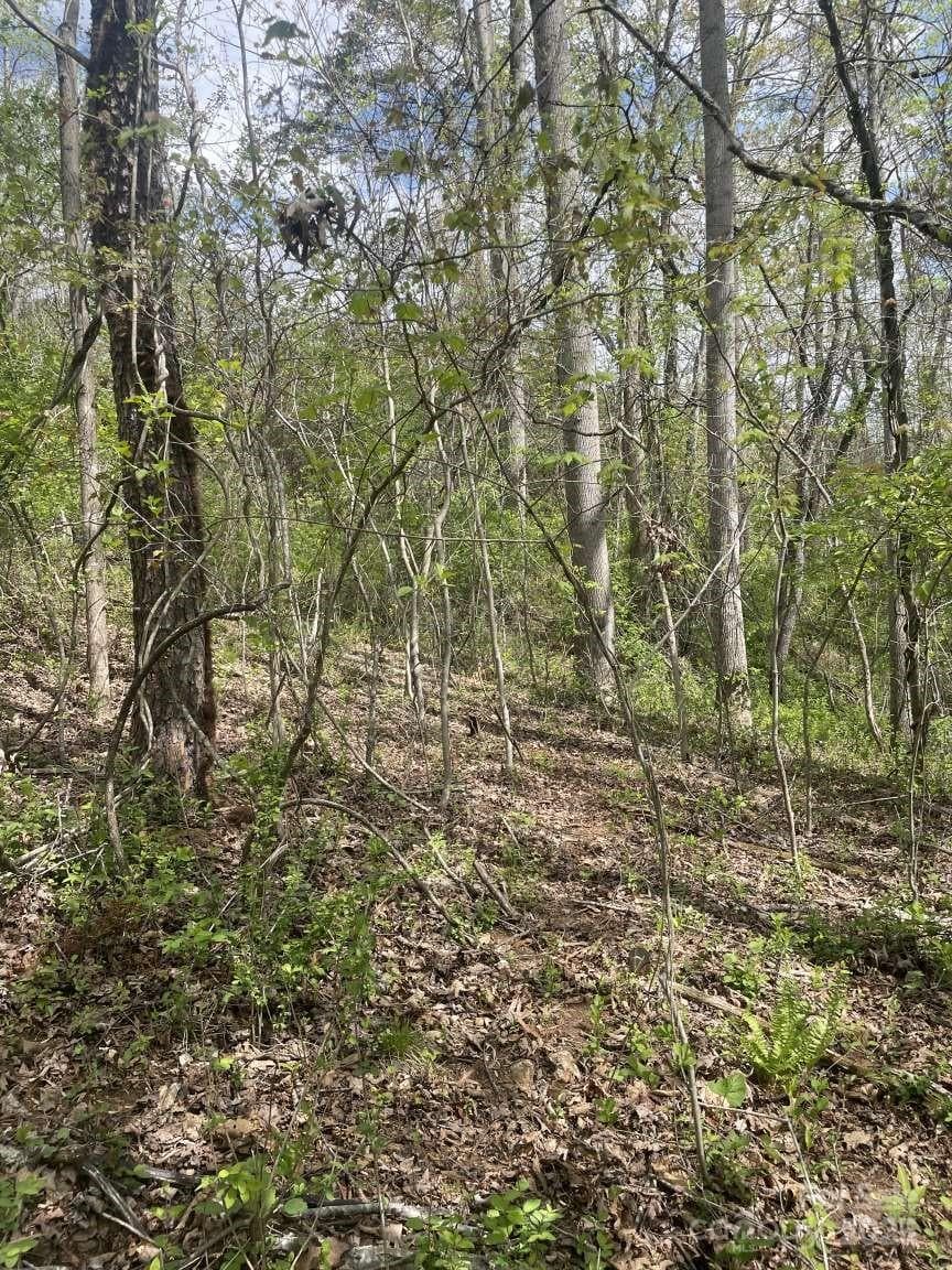 Lot at Asheville, photo 7 of 8