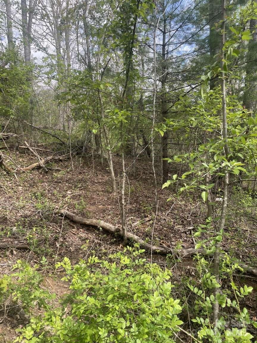Lot at Asheville, photo 8 of 8