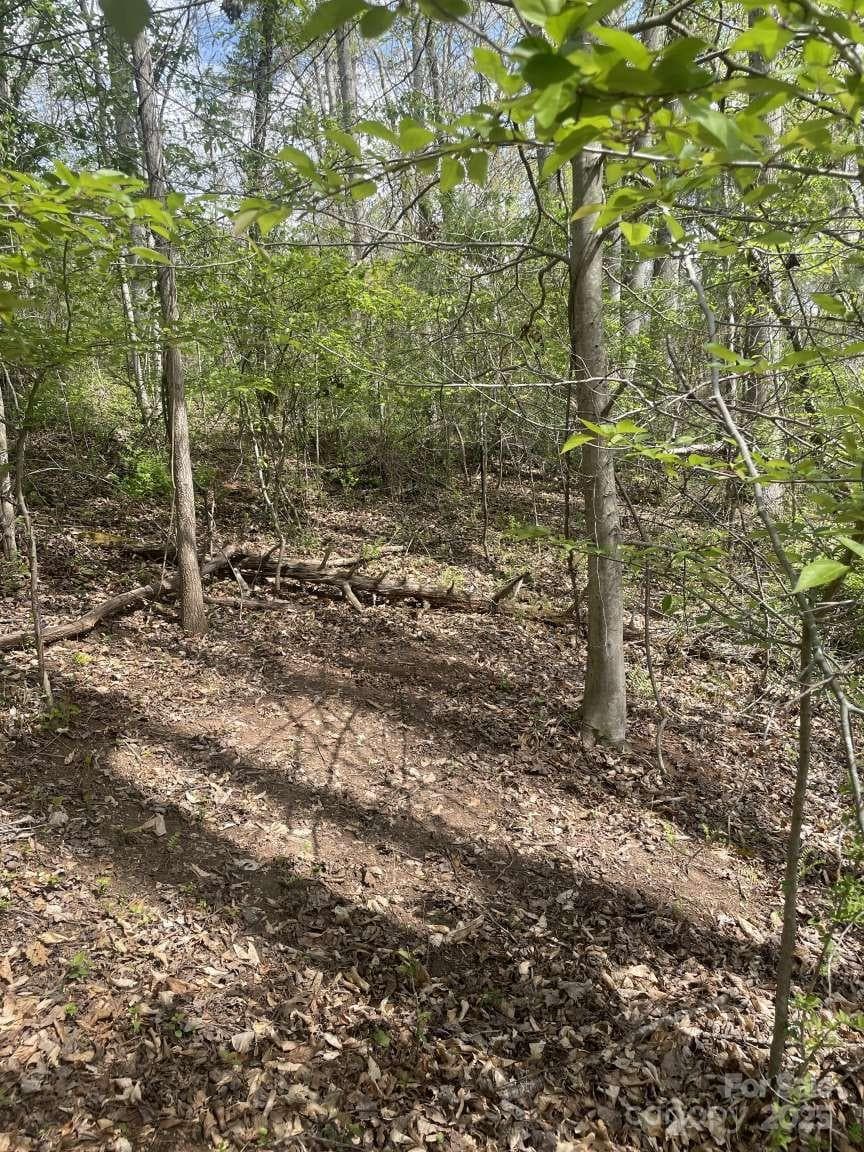 Lot at Asheville, photo 5 of 8