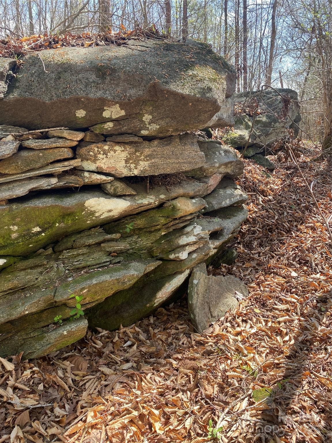 Acreage at 0 Cane Creek Mountain Road, Bostic, photo 11 of 28
