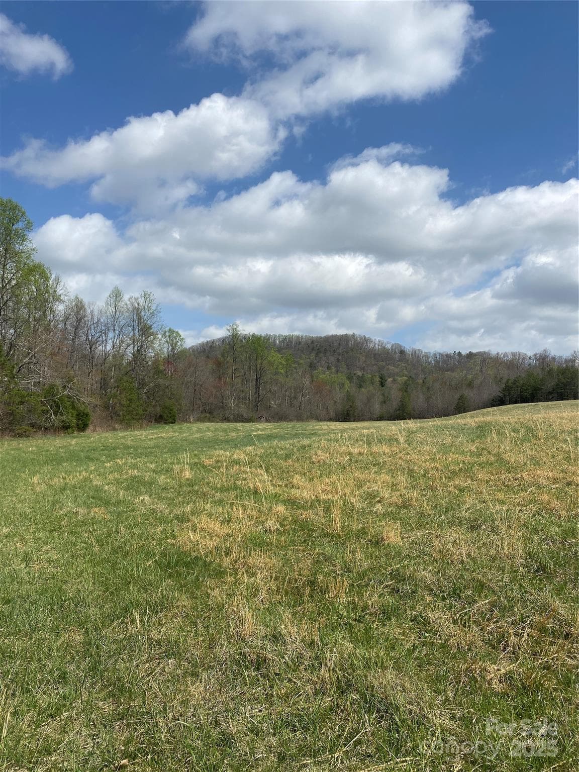 Acreage at 0 Cane Creek Mountain Road, Bostic, photo 26 of 28
