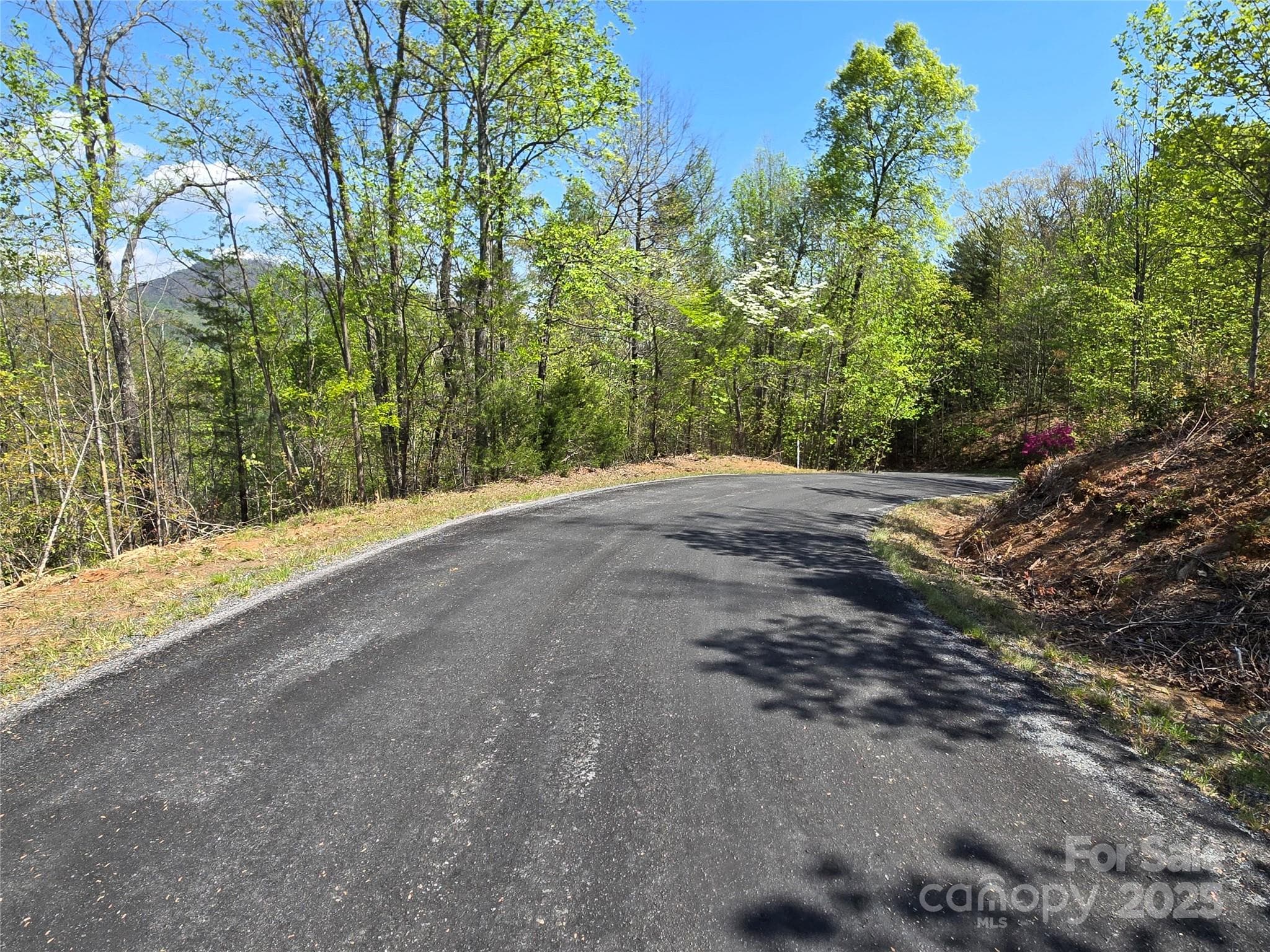 Lot at Lake Lure, photo 4 of 23