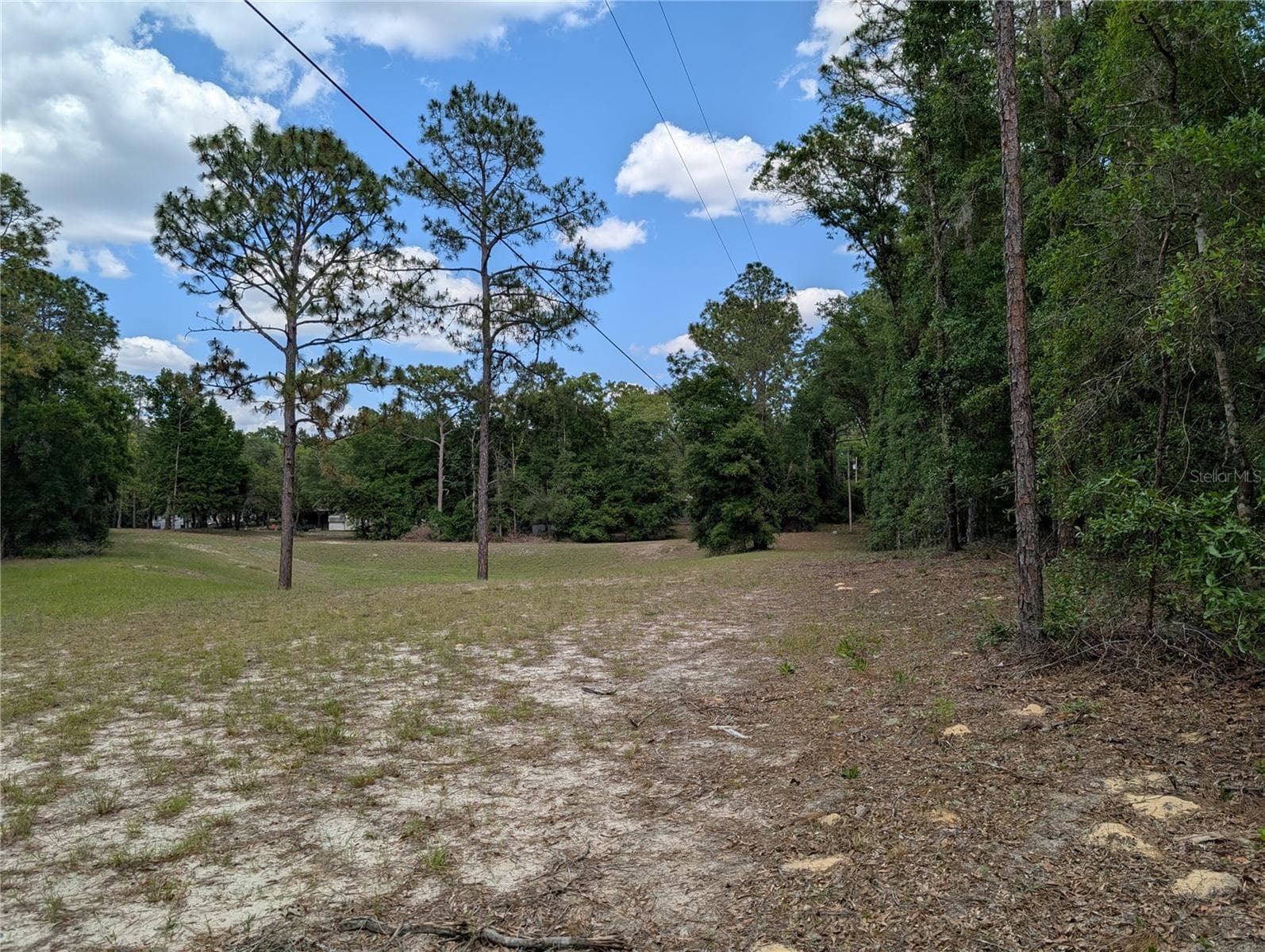 Retention pond to north side of property - TBD SW 93RD LANE, DUNNELLON