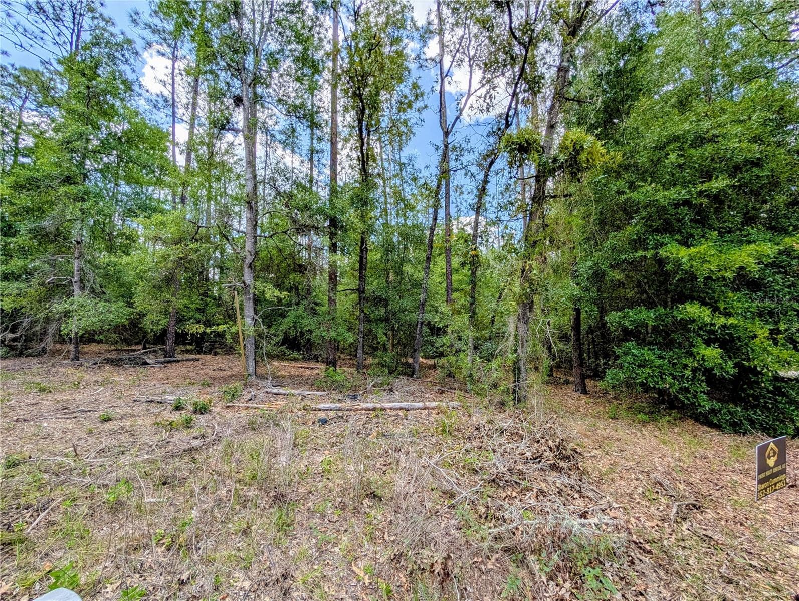Land at TBD SW 93RD LANE, DUNNELLON, photo 5 of 5