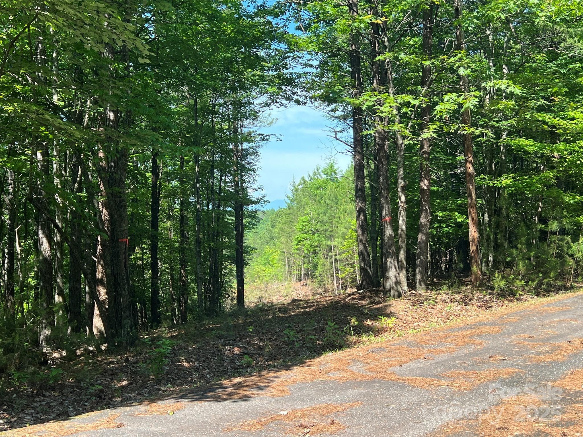Lot at 0 South Mountain Drive, Nebo, photo 2 of 31