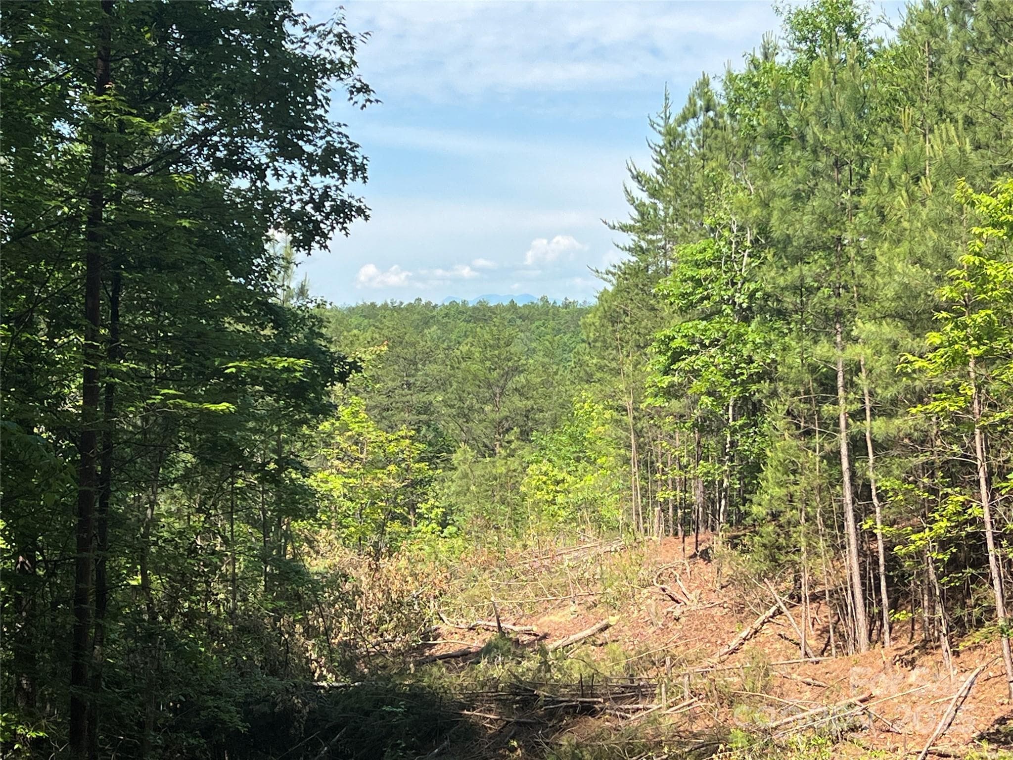 Lot at 0 South Mountain Drive, Nebo, photo 17 of 31