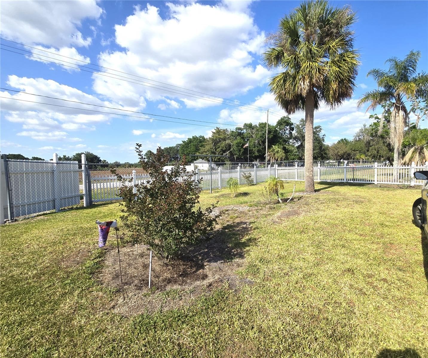 Single Family Residence at 3101 MEDULLA RD, PLANT CITY, photo 16 of 85