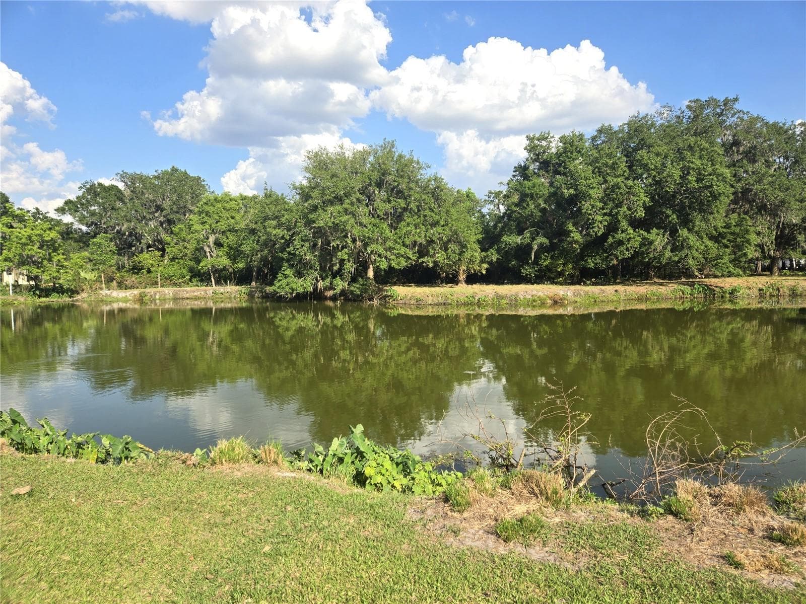 Single Family Residence at 3101 MEDULLA RD, PLANT CITY, photo 76 of 85