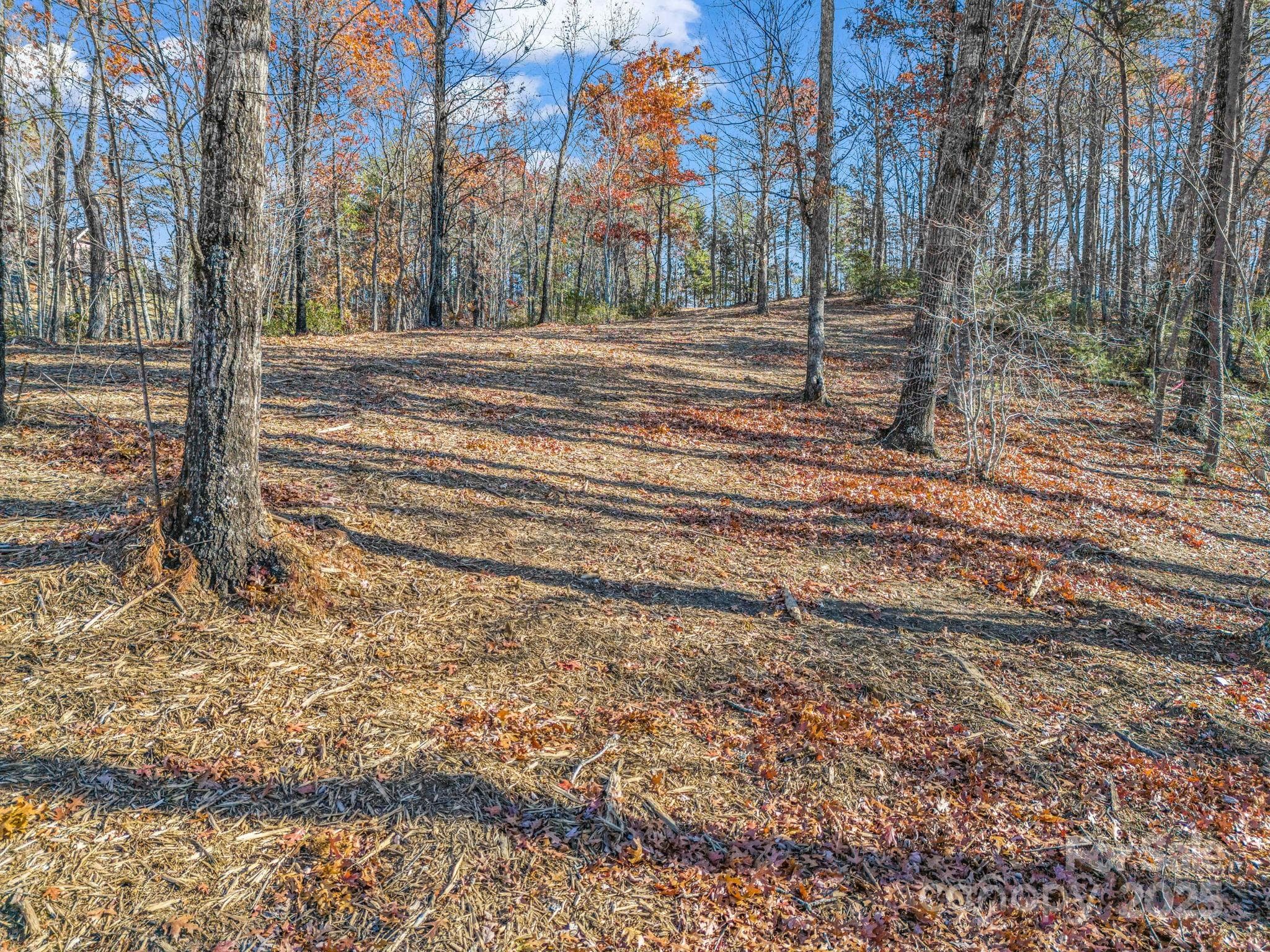 Single Family Residence at Lot 30 Deep Gap Farm Road E, Mill Spring, photo 8 of 18