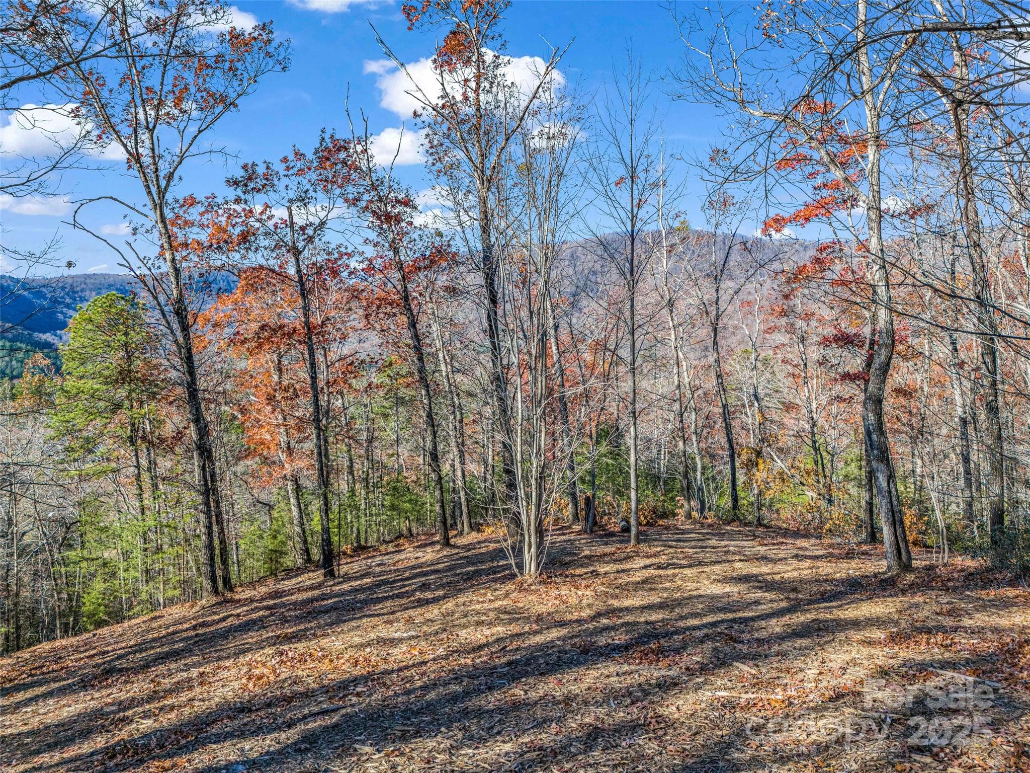 Single Family Residence at Lot 30 Deep Gap Farm Road E, Mill Spring, photo 14 of 18