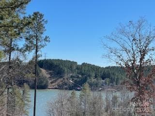 Drone from Cul-de-sac - 5619 Channel View Cove, Granite Falls