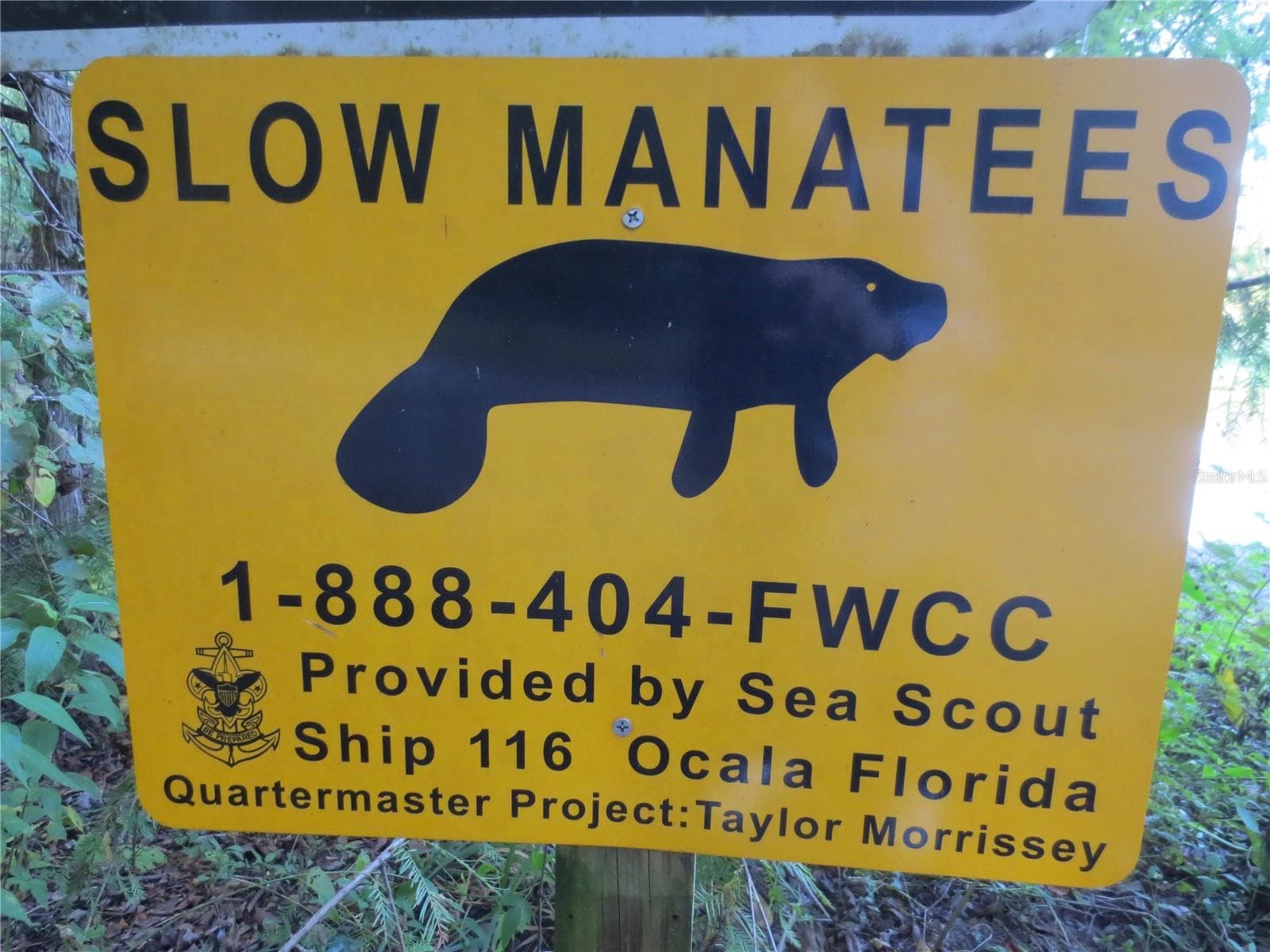 Ocala National Forest Activities - 5949 SE 164TH CT, OCKLAWAHA