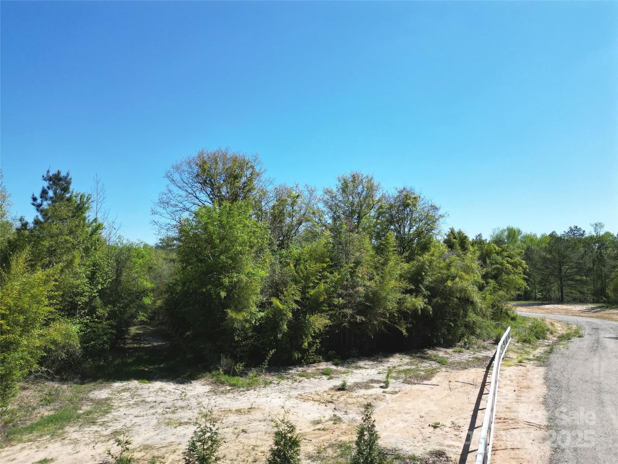 Acreage at TBD Goldenrod Drive, Carthage, photo 6 of 31