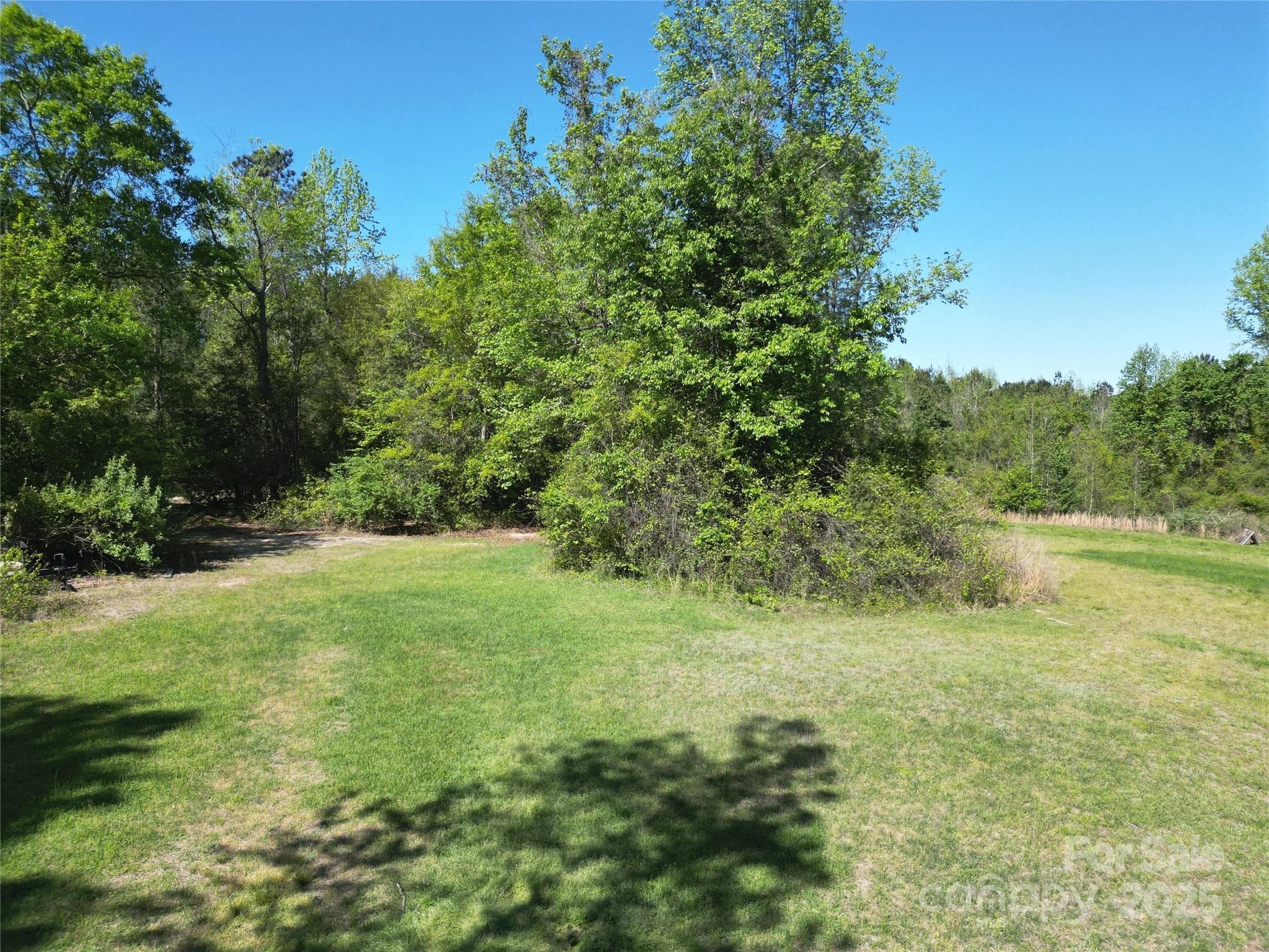 Acreage at TBD Goldenrod Drive, Carthage, photo 10 of 31