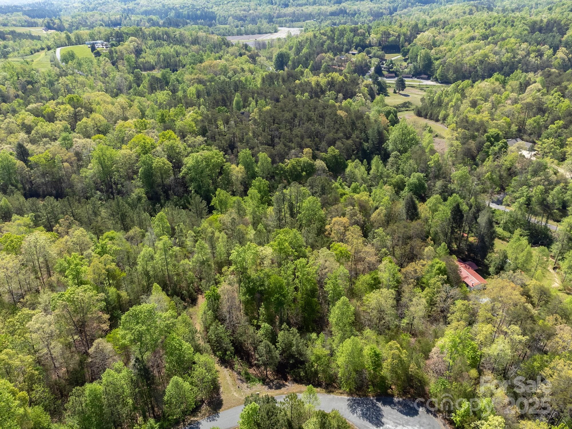 Lot at V/L Easy Street, Lake Lure, photo 22 of 34