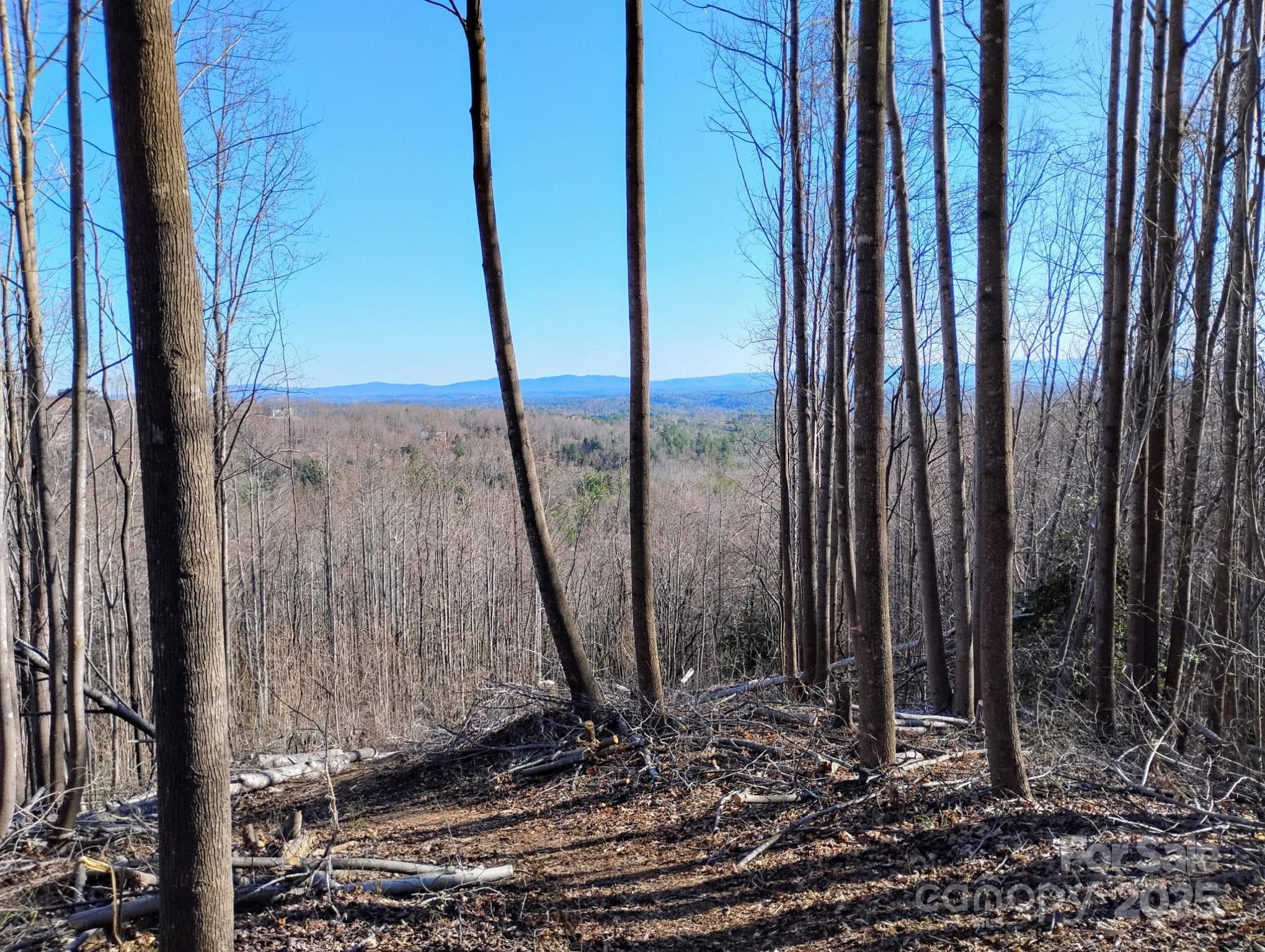 Lot at Lenoir, photo 2 of 14