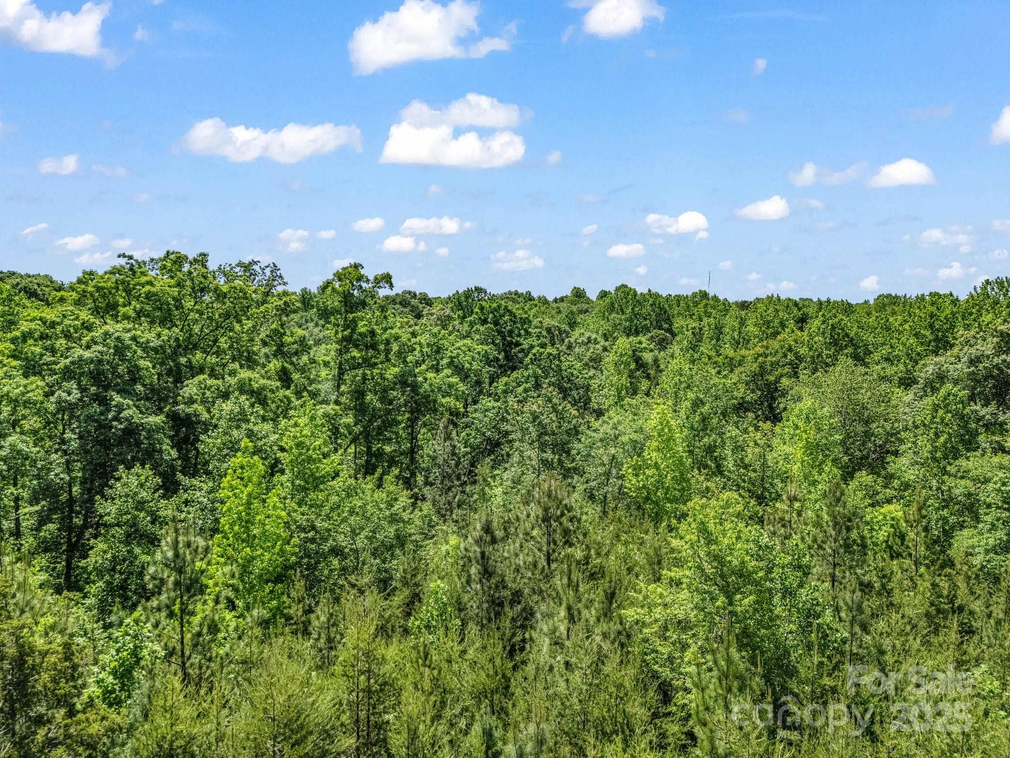 Acreage at Shelby, photo 22 of 24