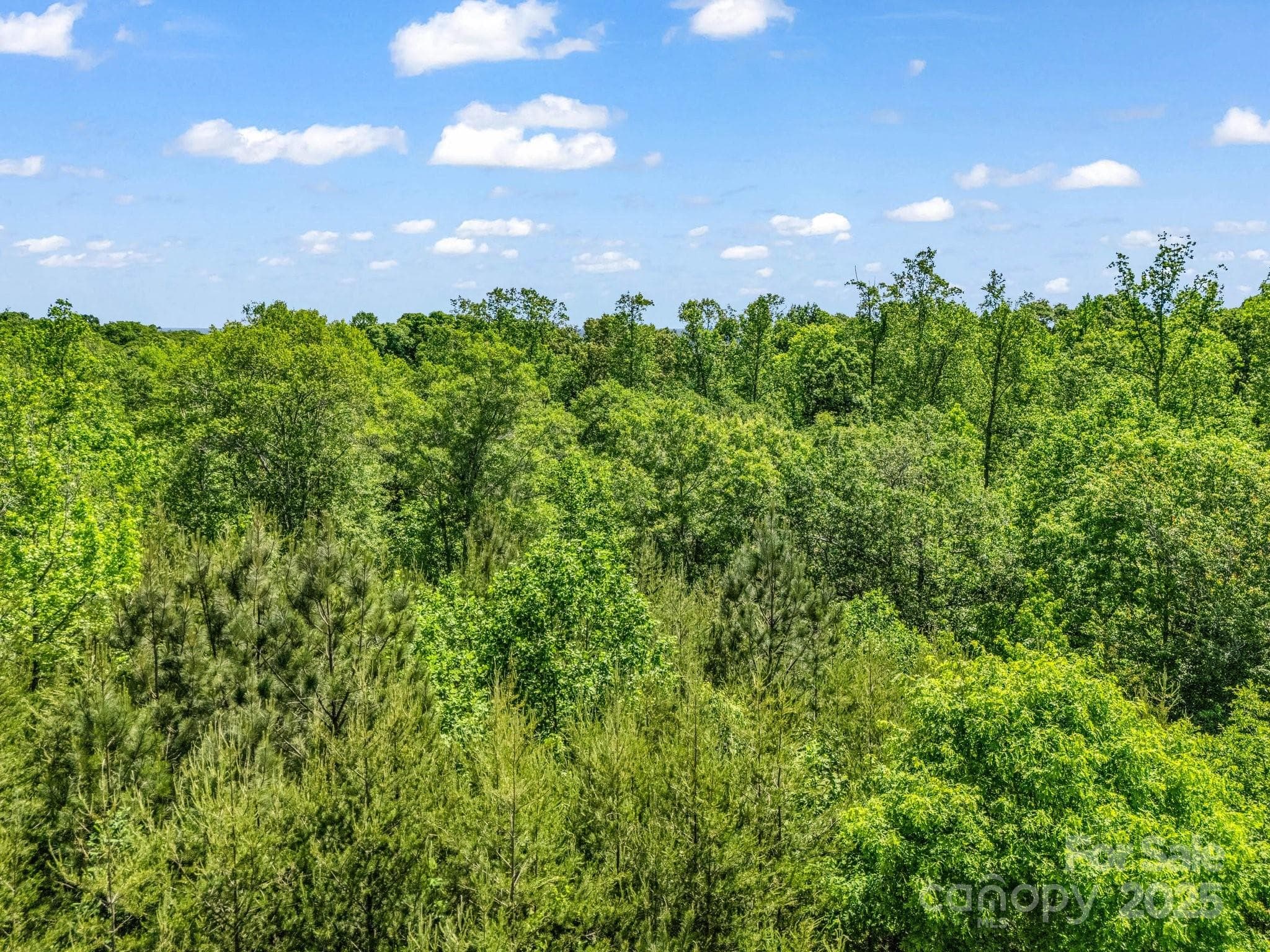 Acreage at Shelby, photo 23 of 24