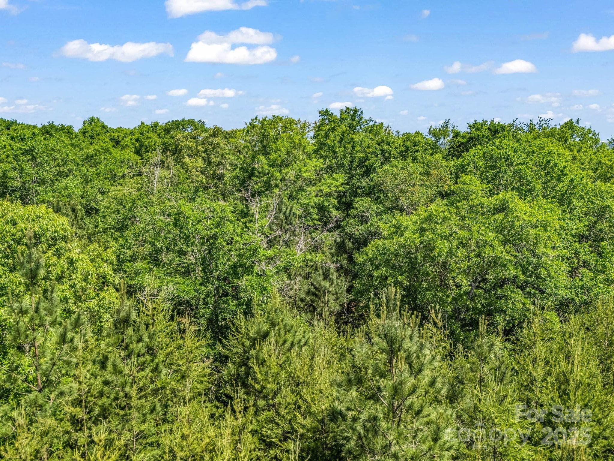 Acreage at Shelby, photo 24 of 24