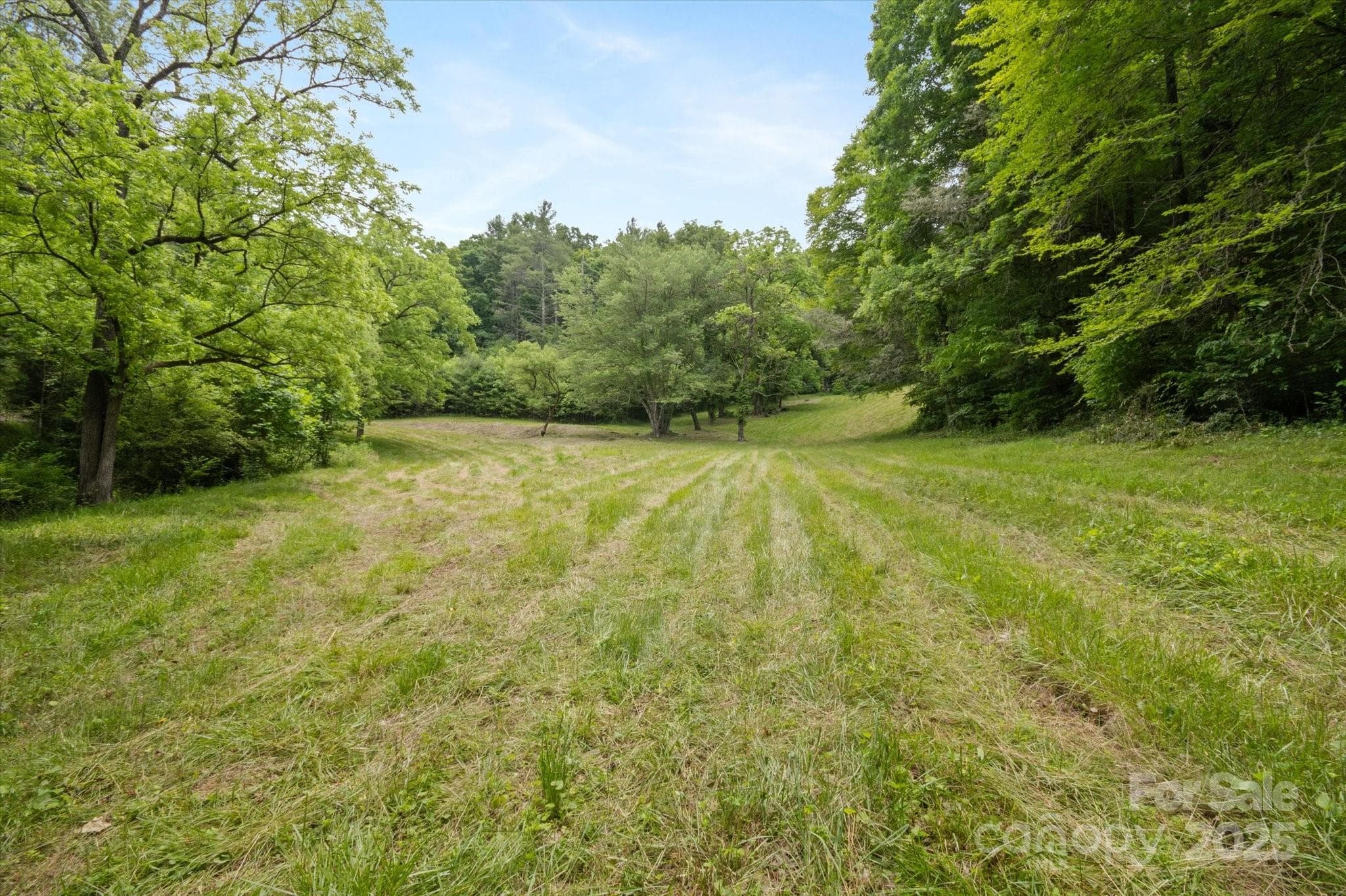Lot at Mars Hill, photo 6 of 48