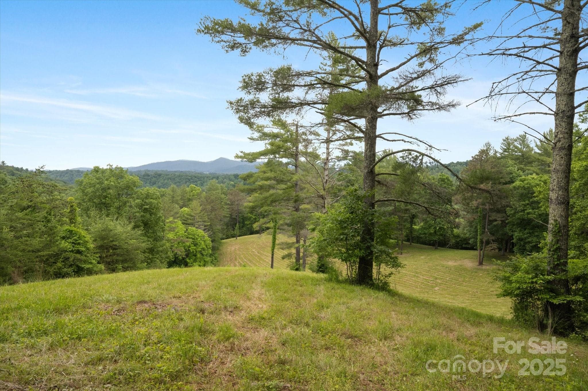 Lot at Mars Hill, photo 26 of 48