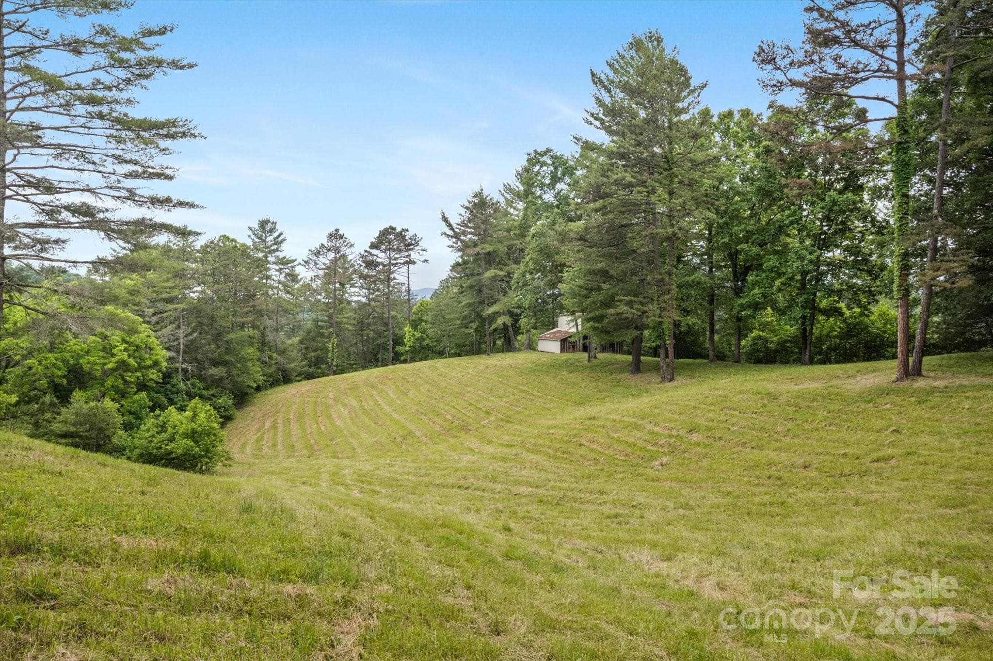Lot at Mars Hill, photo 29 of 48