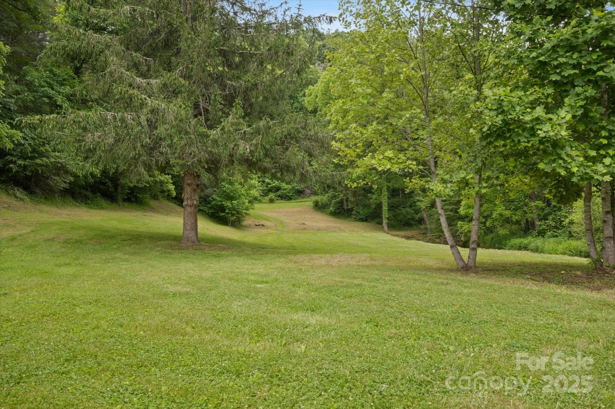 Lot at Mars Hill, photo 33 of 48