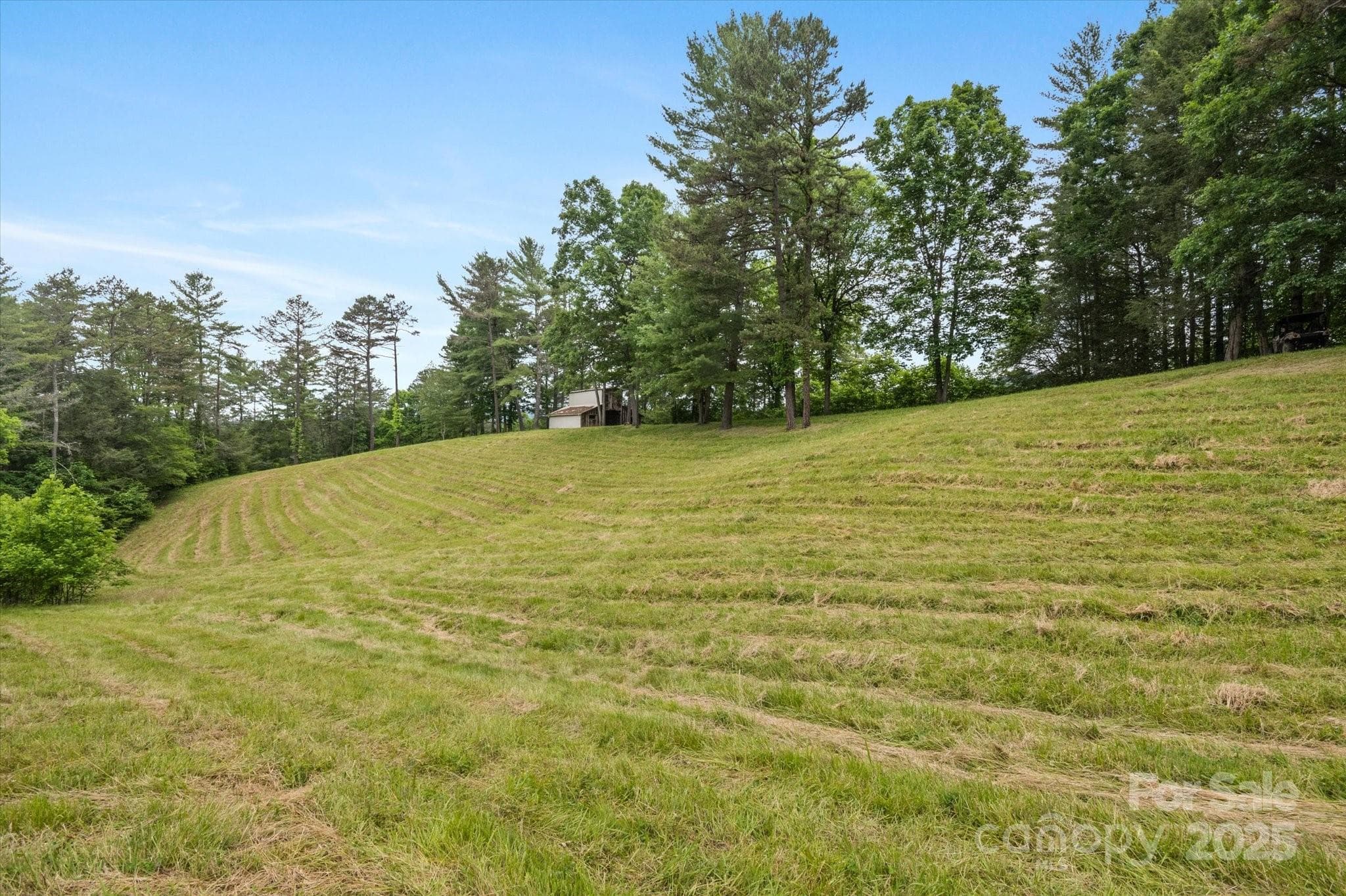 Lot at Mars Hill, photo 35 of 48