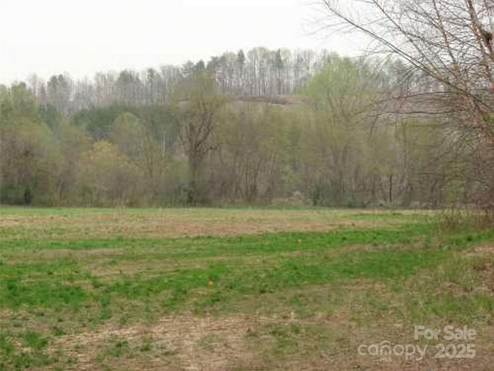 Lot at Mill Spring, photo 2 of 9