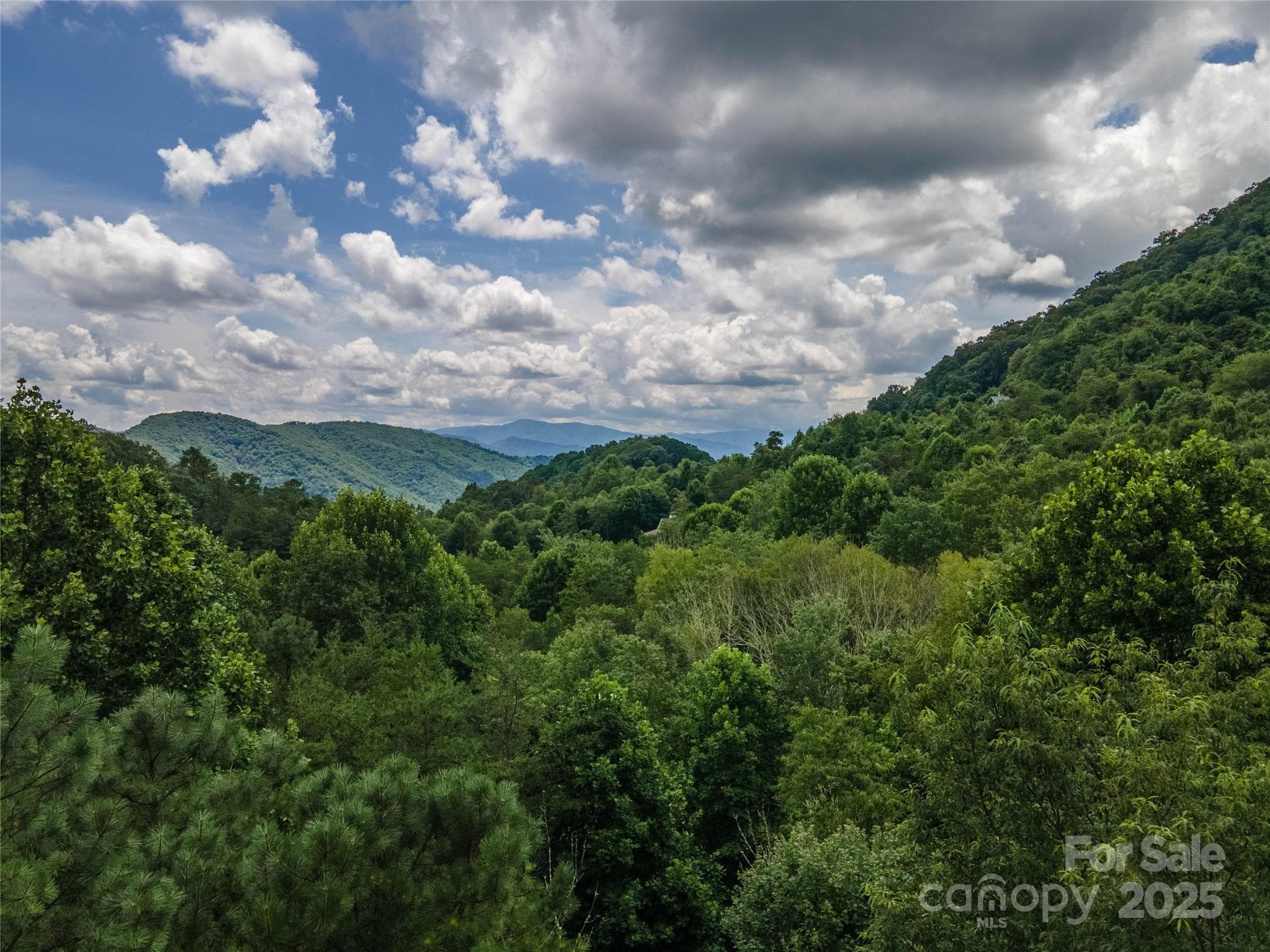 Lot at 00 Troutman Trail, Leicester, photo 12 of 21