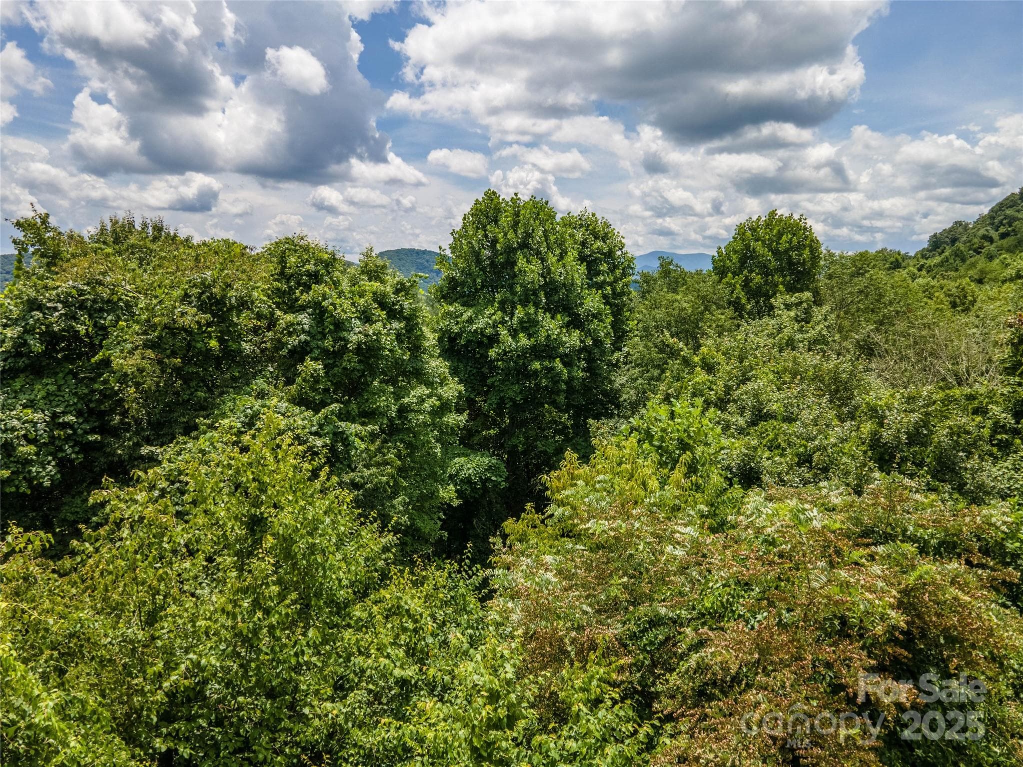 Lot at 00 Troutman Trail, Leicester, photo 14 of 21