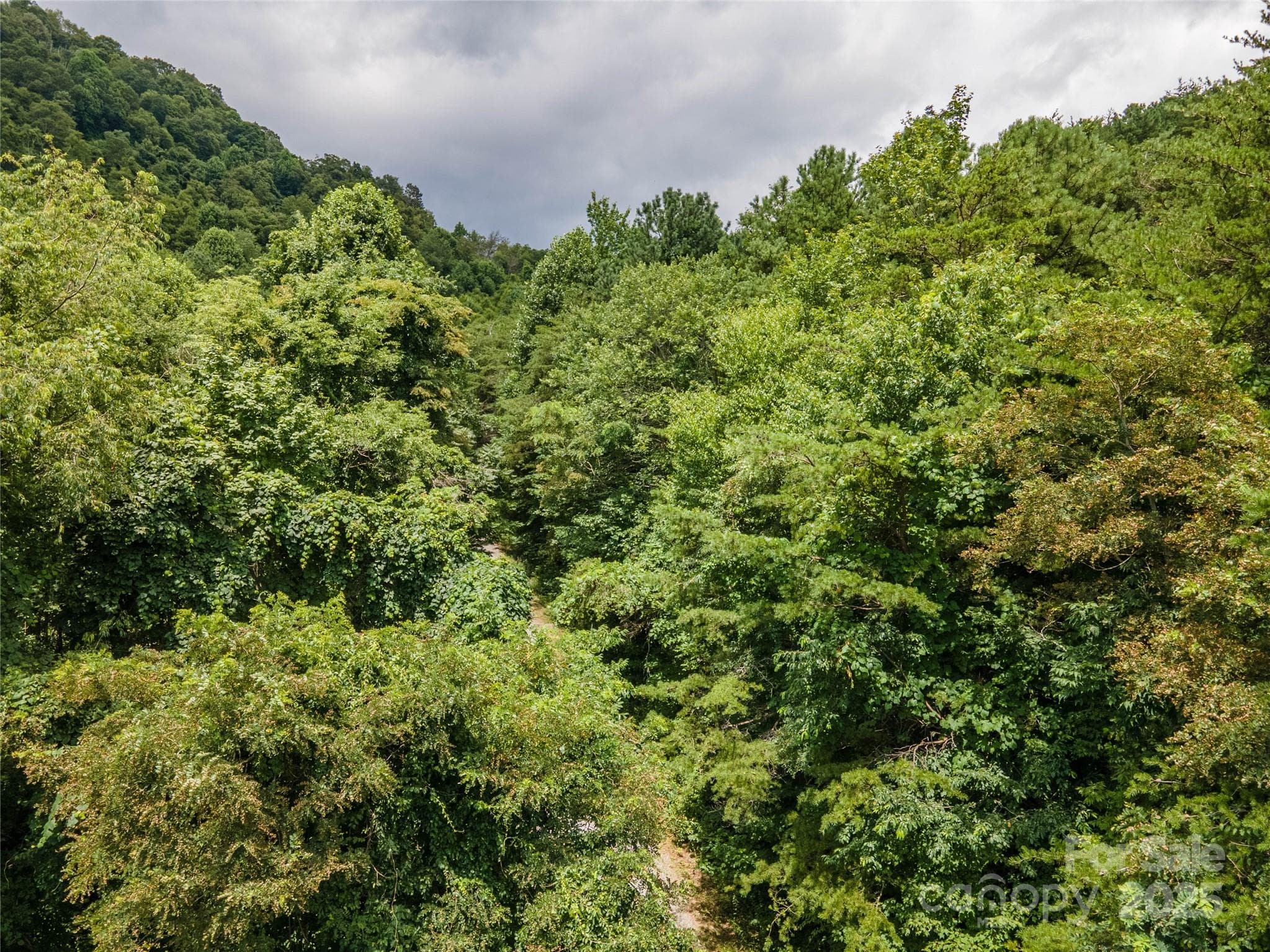 Lot at 00 Troutman Trail, Leicester, photo 16 of 21