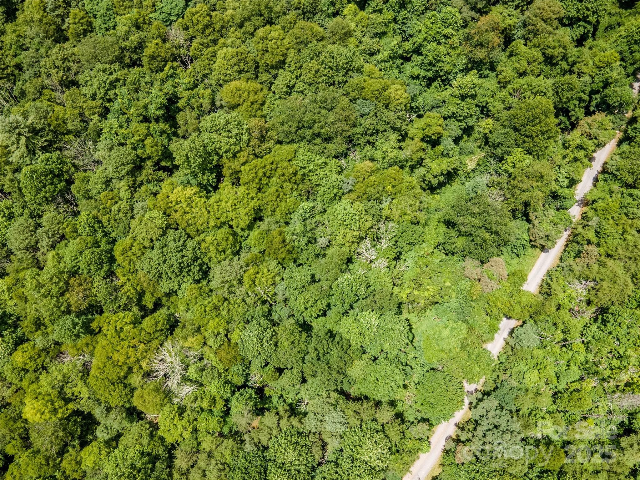 Perfect place for a mountain cabin - 00 Troutman Trail, Leicester