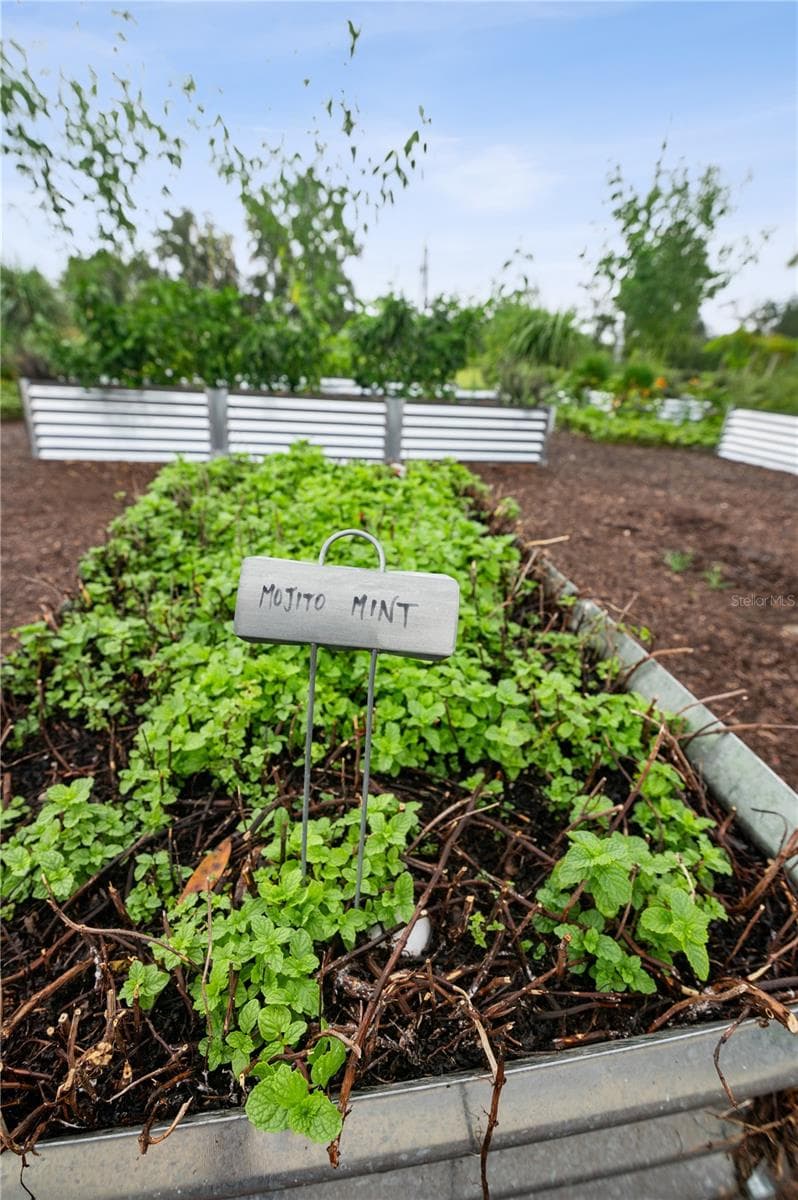 Resident Garden - Lot 39 SW 124TH WAY, ARCHER