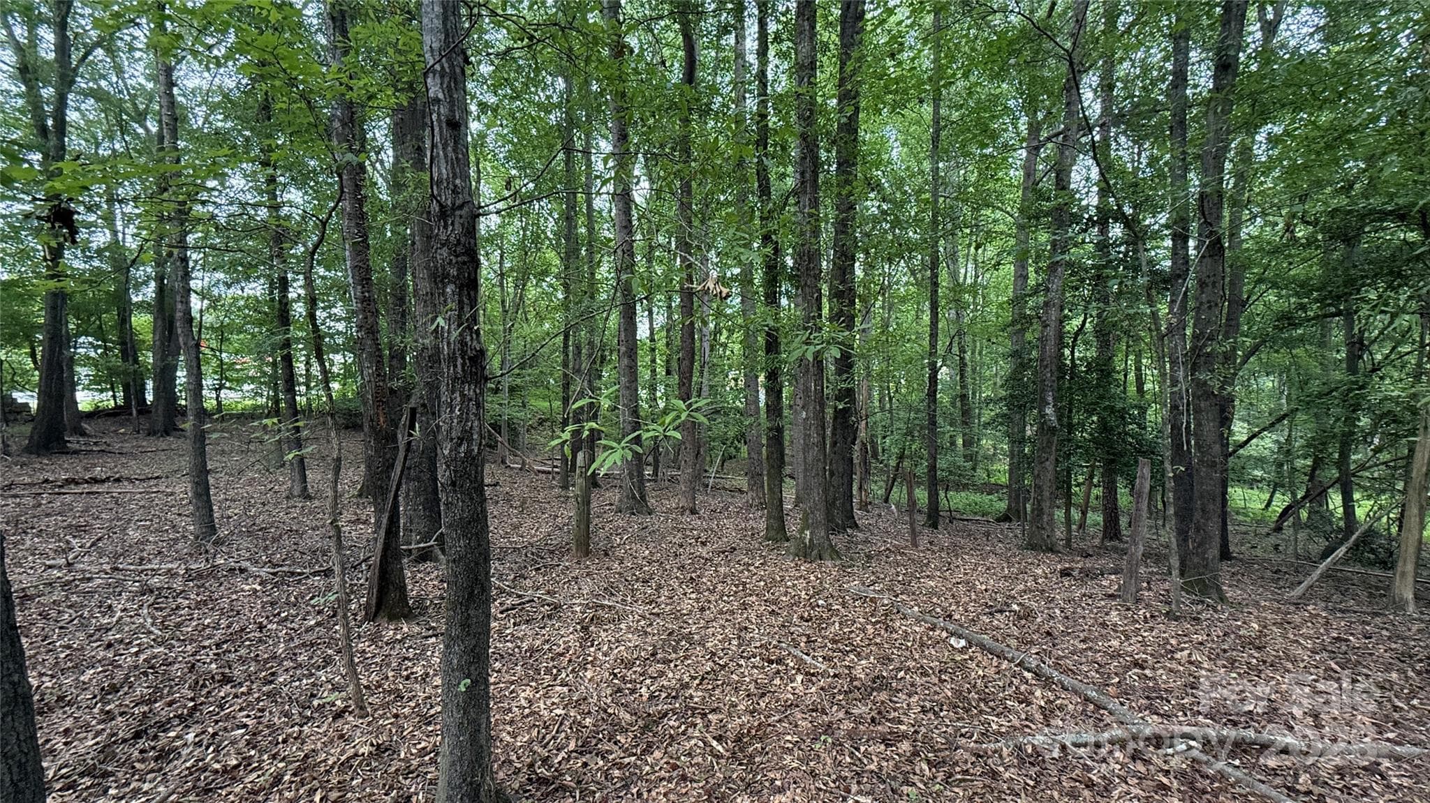Acreage at Shelby, photo 2 of 6