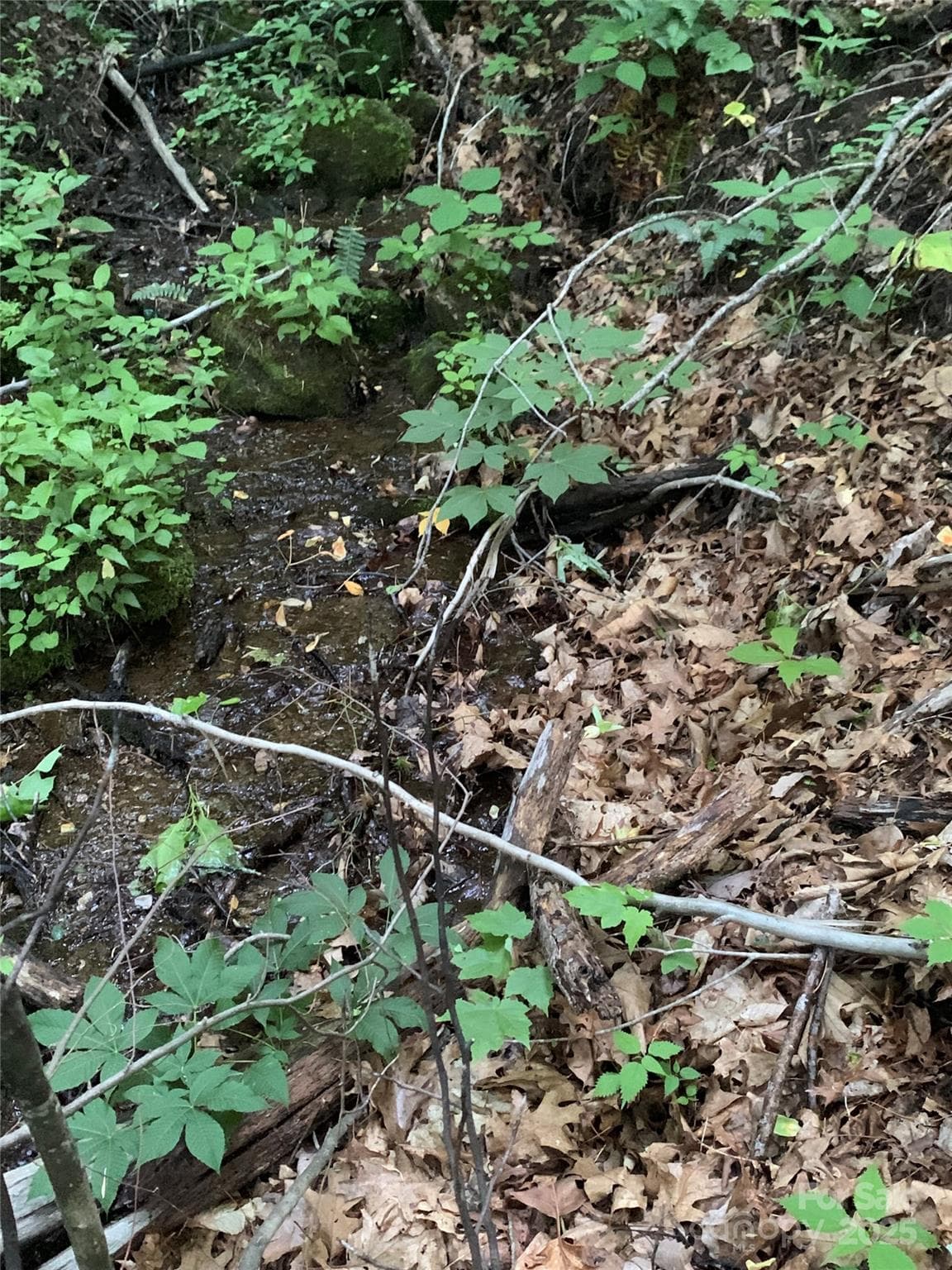 Small spring creek on property - Sherwood Mountain, Maggie Valley