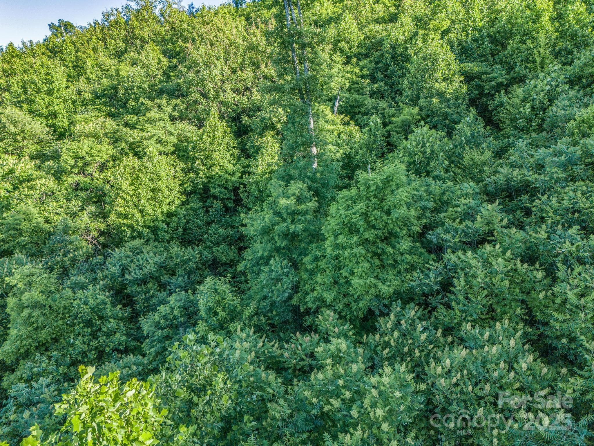 Acreage at 00 H and H Trail, Bat Cave, photo 6 of 36