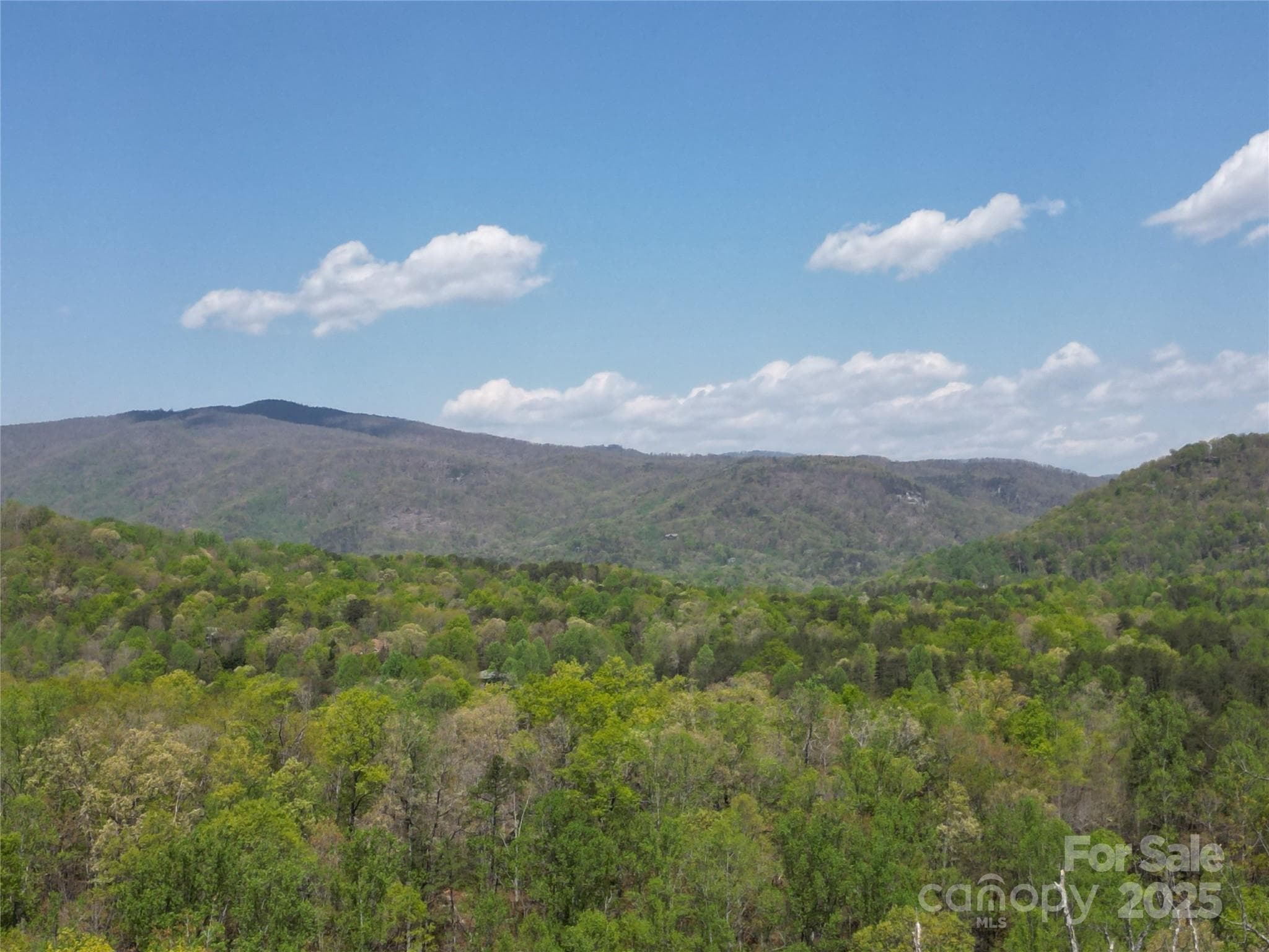 Lot at Lake Lure, photo 2 of 23